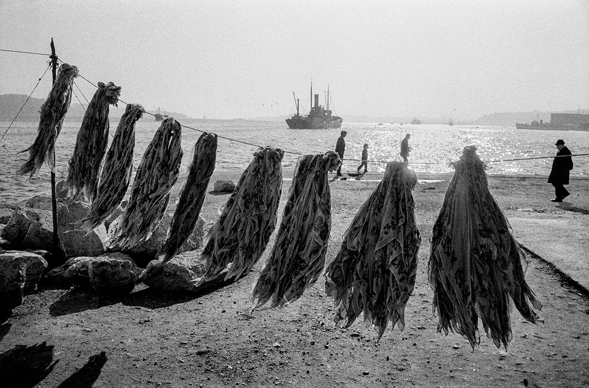 Ortaköy — Ara Güler (1964)