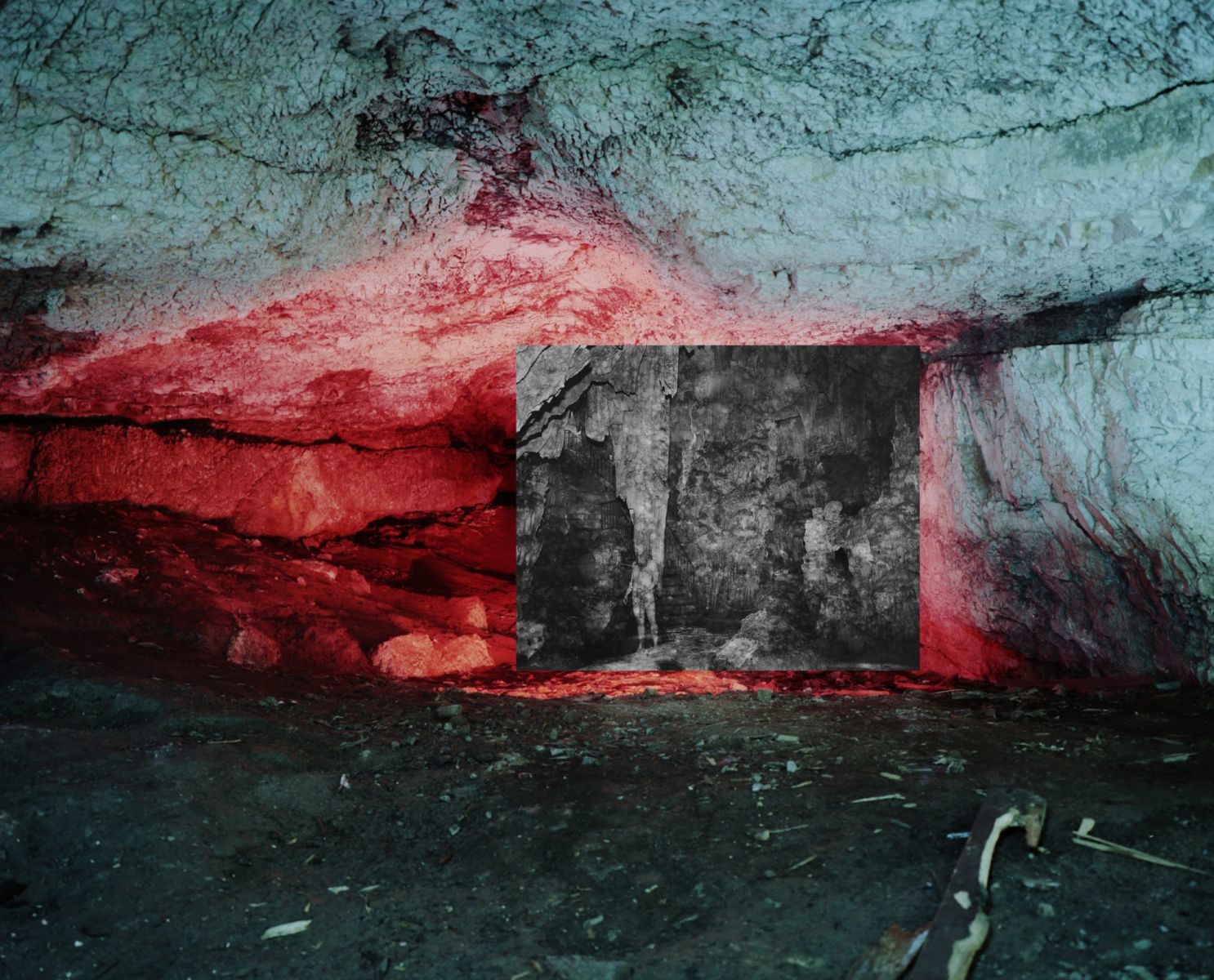 Cave Albino