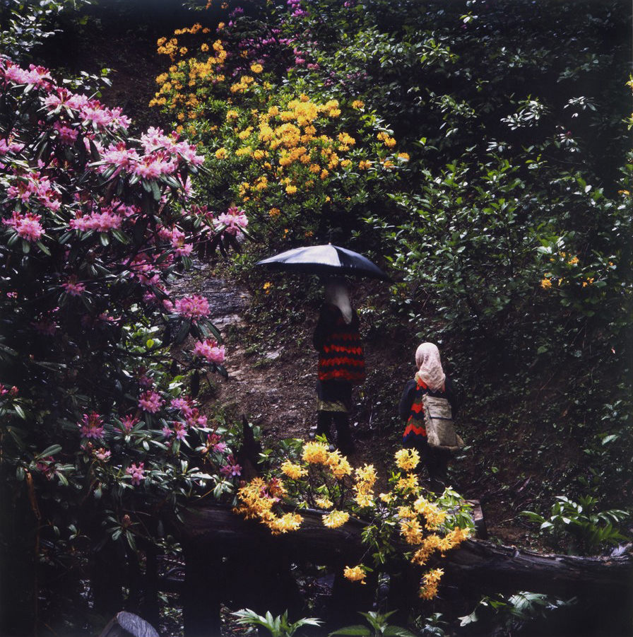 Karadeniz — Sami Güner (1969)