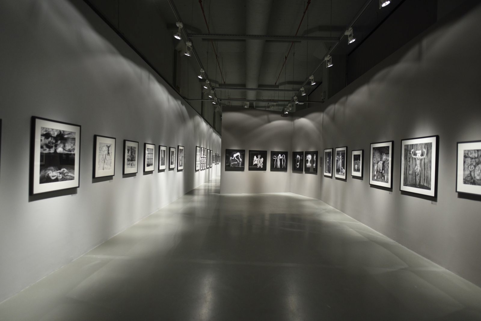 Roger Ballen Retrospektifi, İstanbul Modern'de
