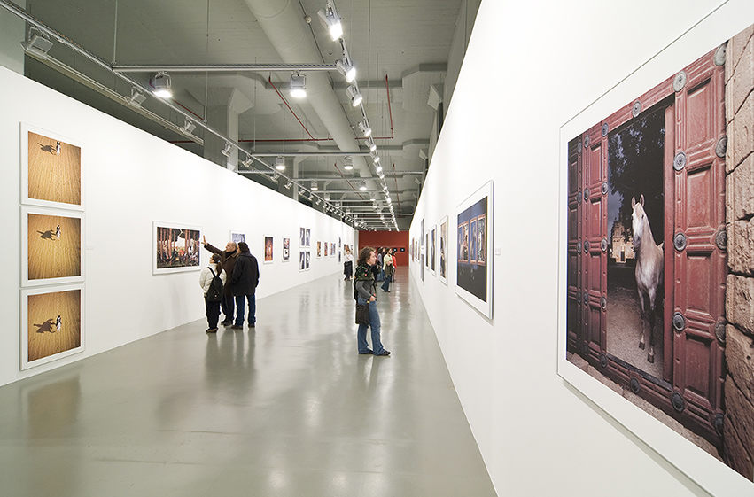 Safkan Yansımalar
