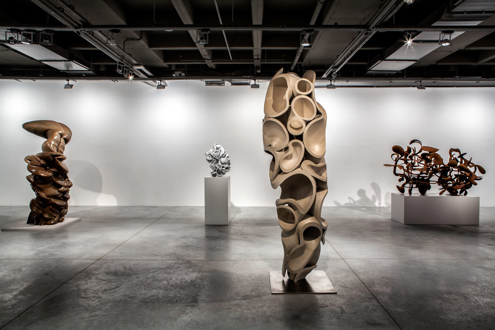 Anthony Cragg: Human Nature