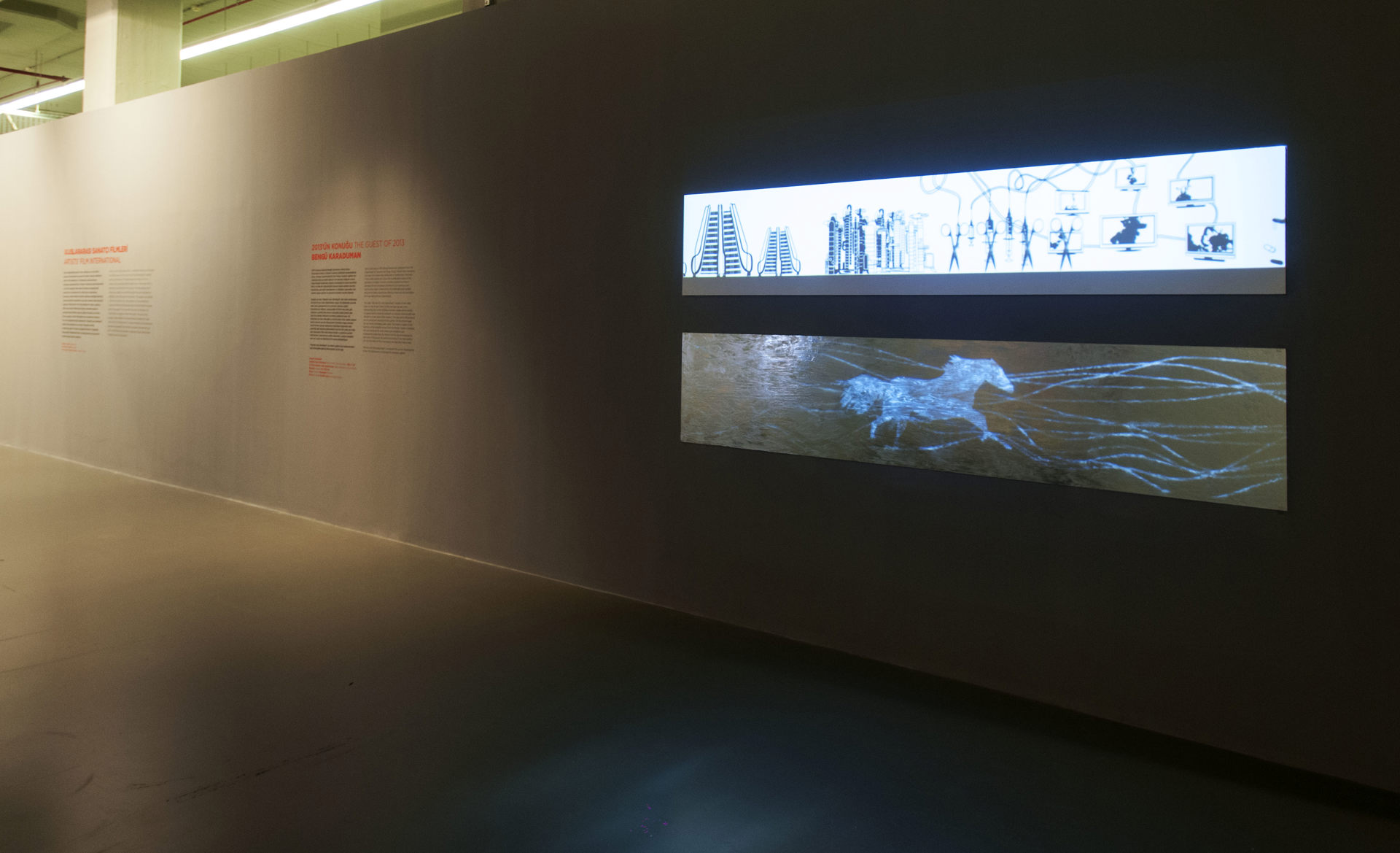 Uluslararası Sanatçı Filmleri 2013