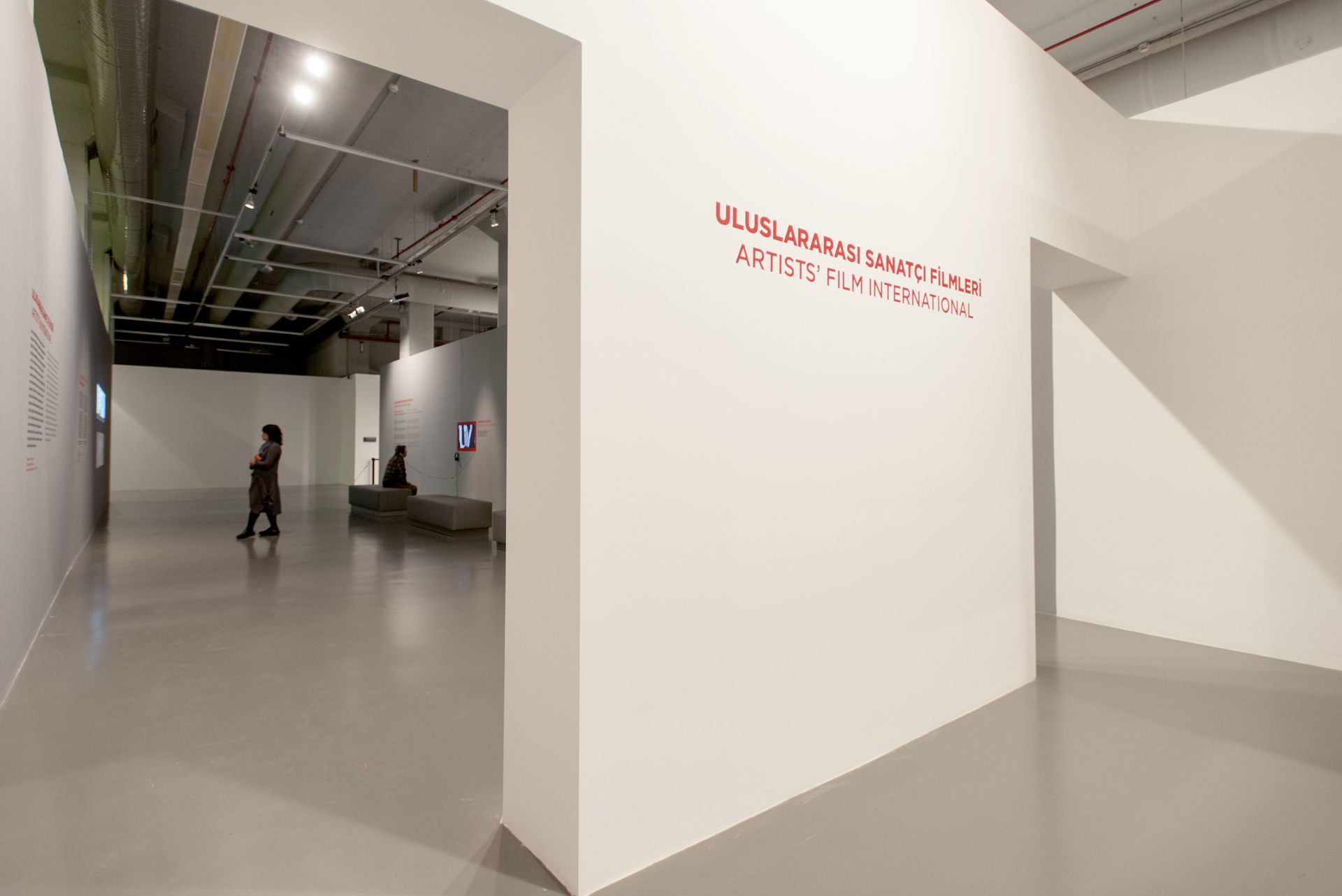 Uluslararası Sanatçı Filmleri 2013