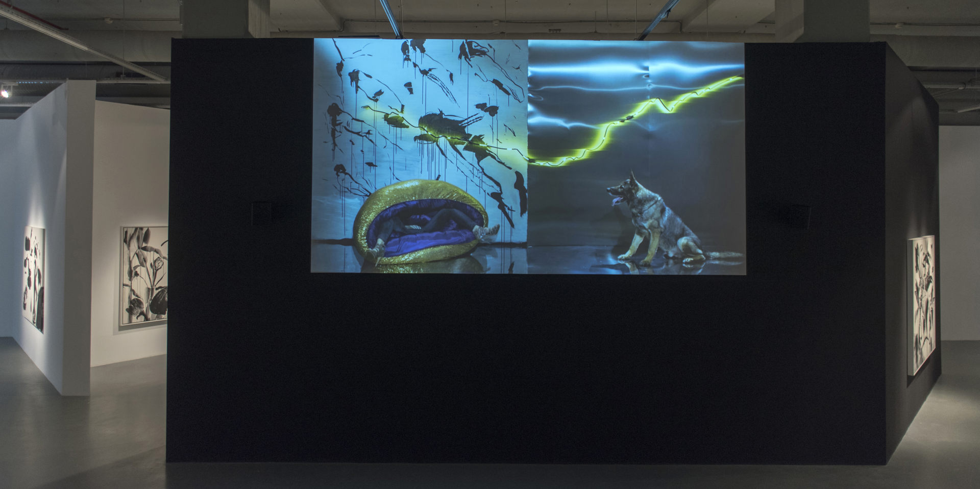 İnci Eviner Retrospective: Who's Inside You?