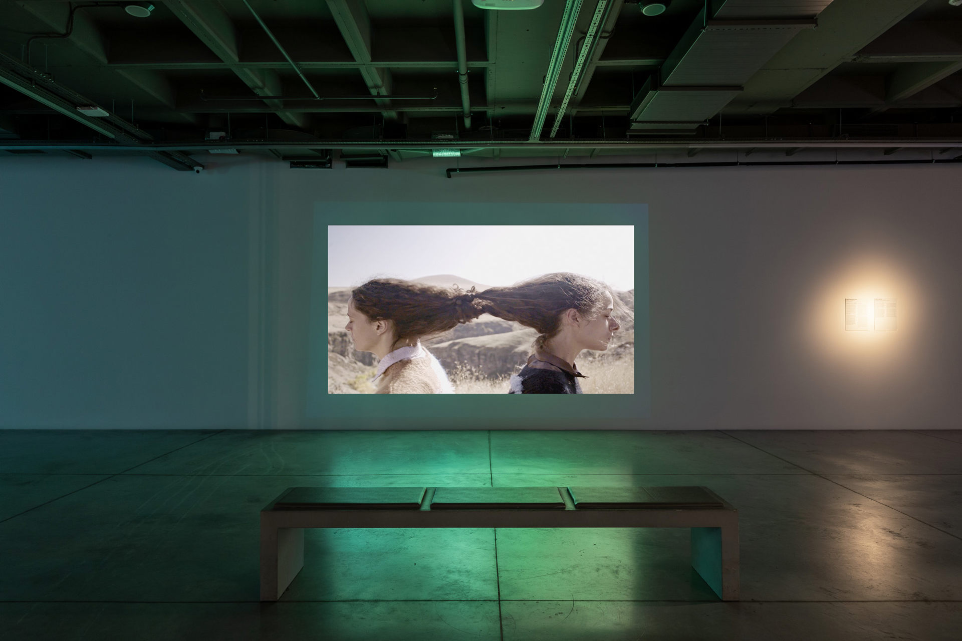 Artists’ Film International 2020
