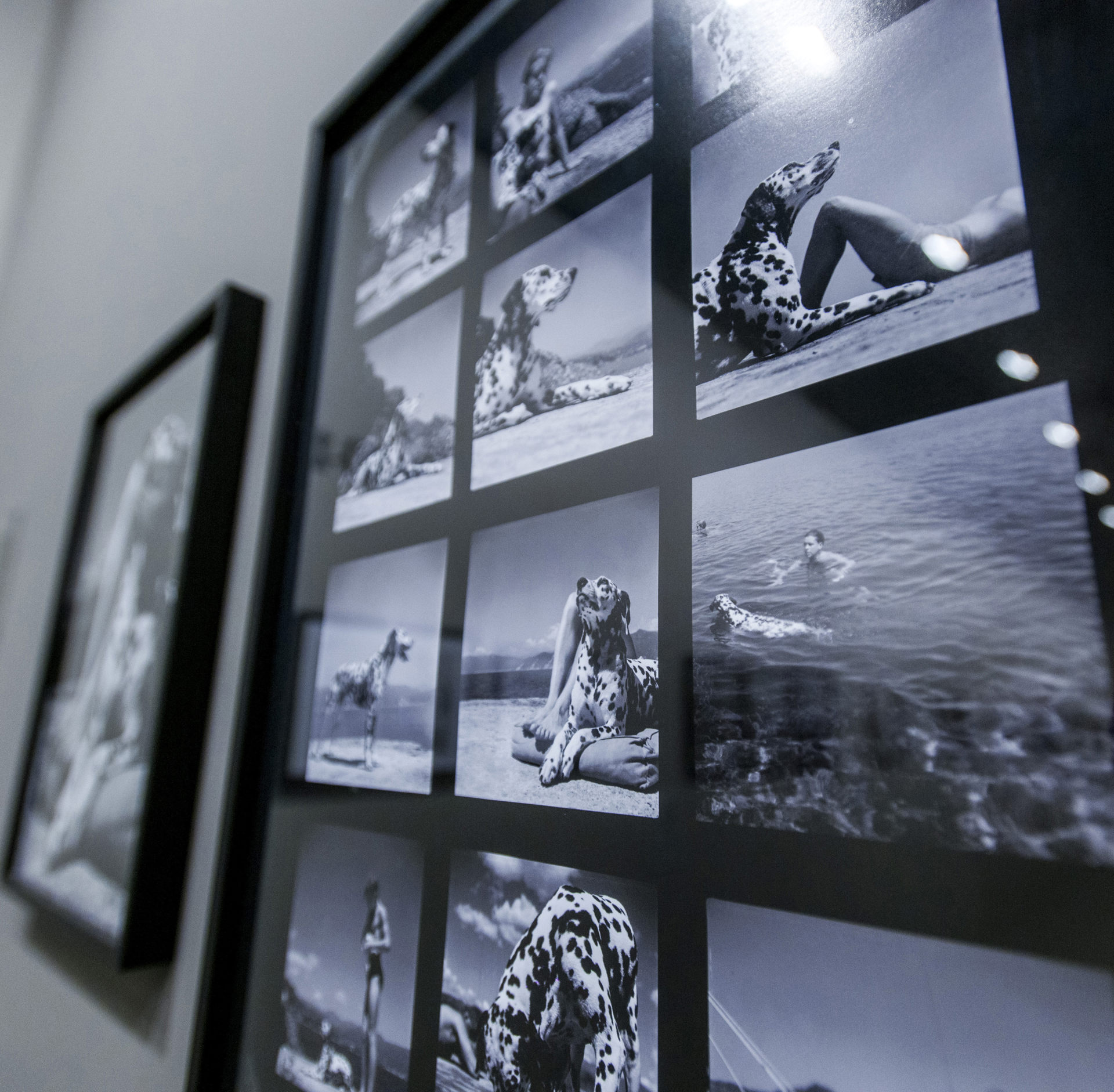 Magnum - Kontakt Baskılar