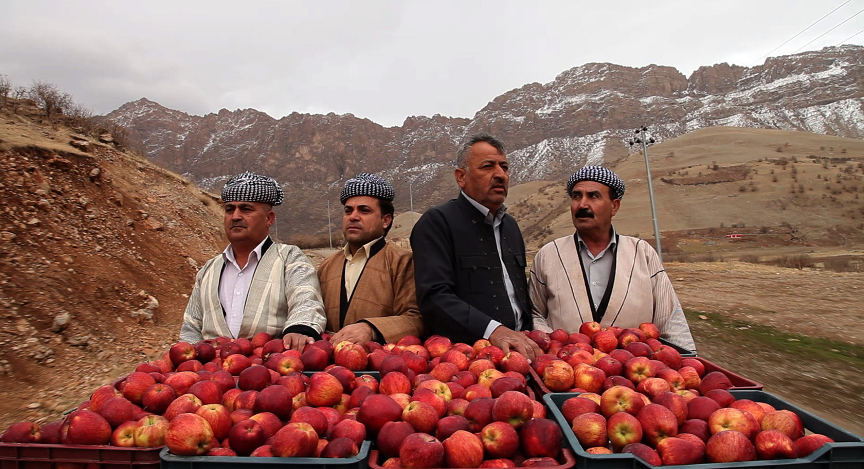 1001 APPLES