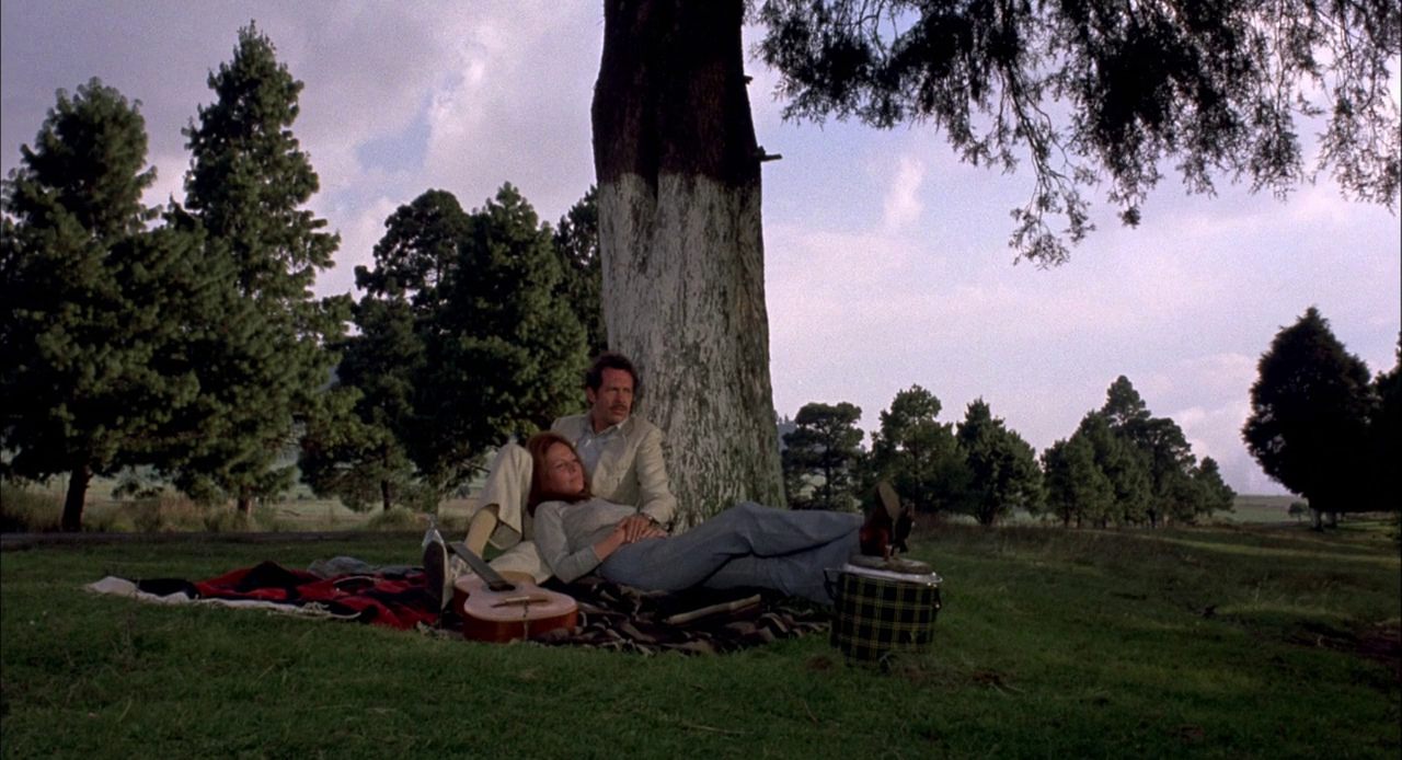 BRING ME THE HEAD OF ALFREDO GARCIA