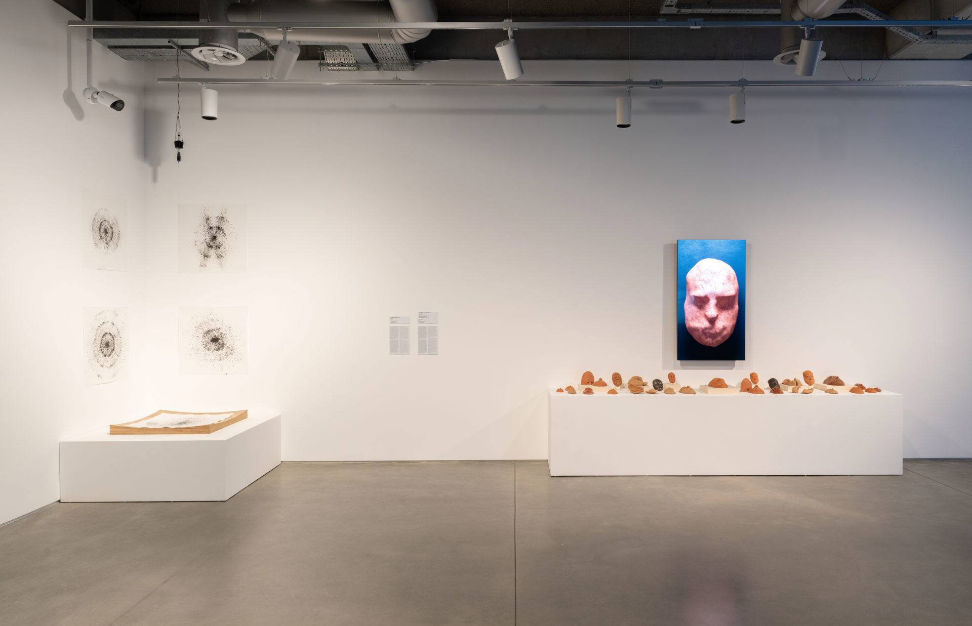 The “Timeless Curiosities” exhibition at Istanbul Modern