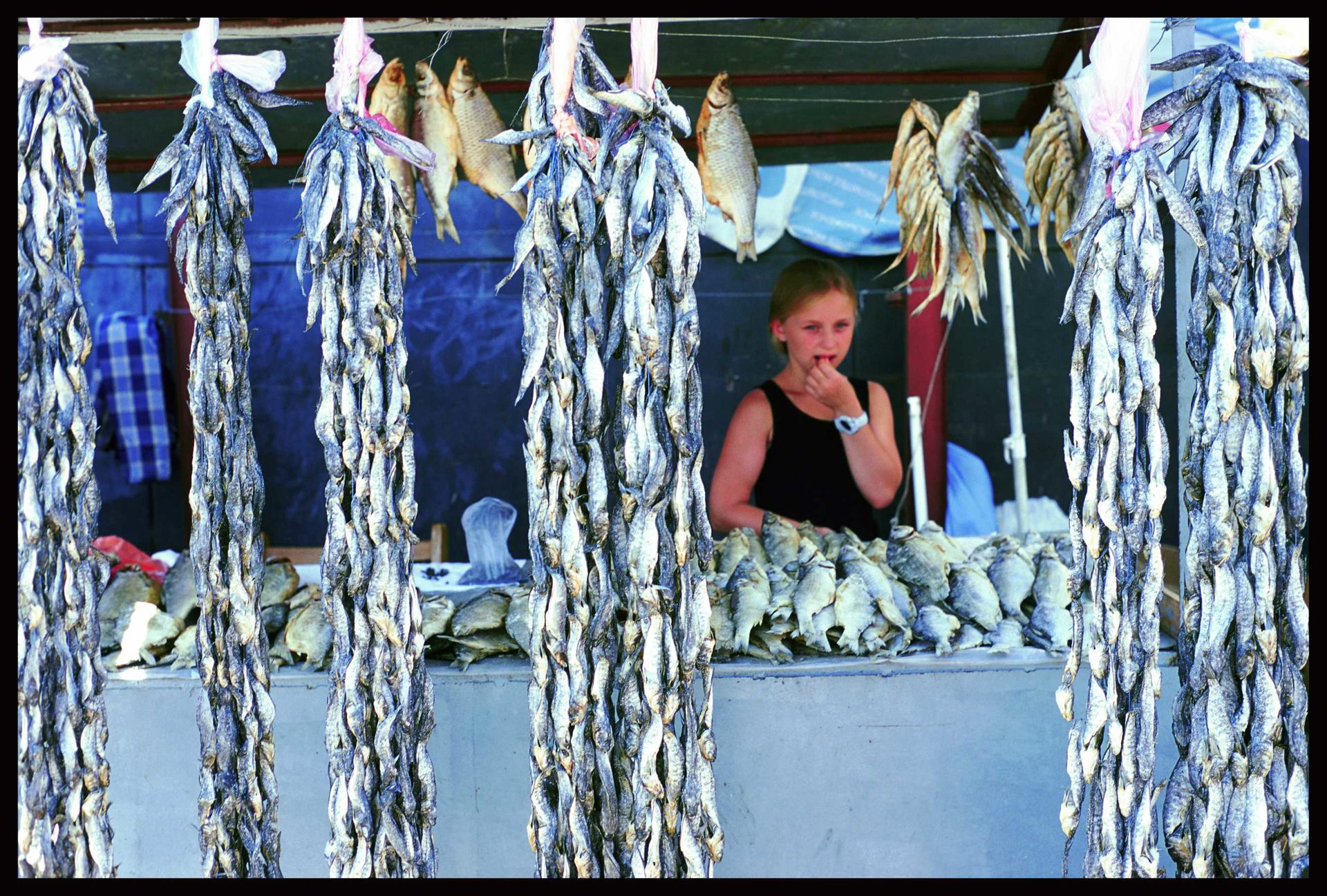 Ulrike Ottinger Films