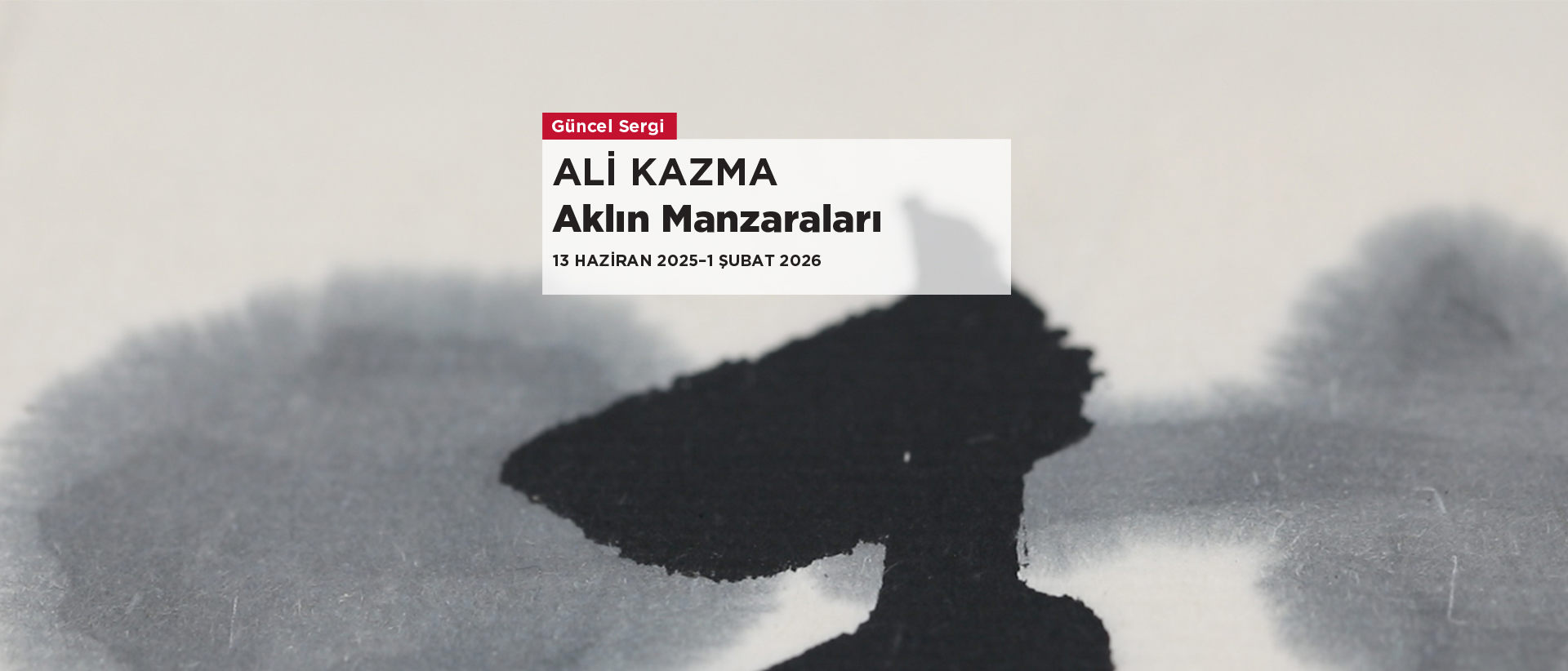 Ali Kazma: Aklın Manzaraları slider