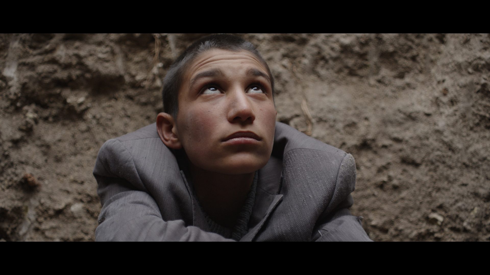 TAVŞAN İMPARATORLUĞU, 2024