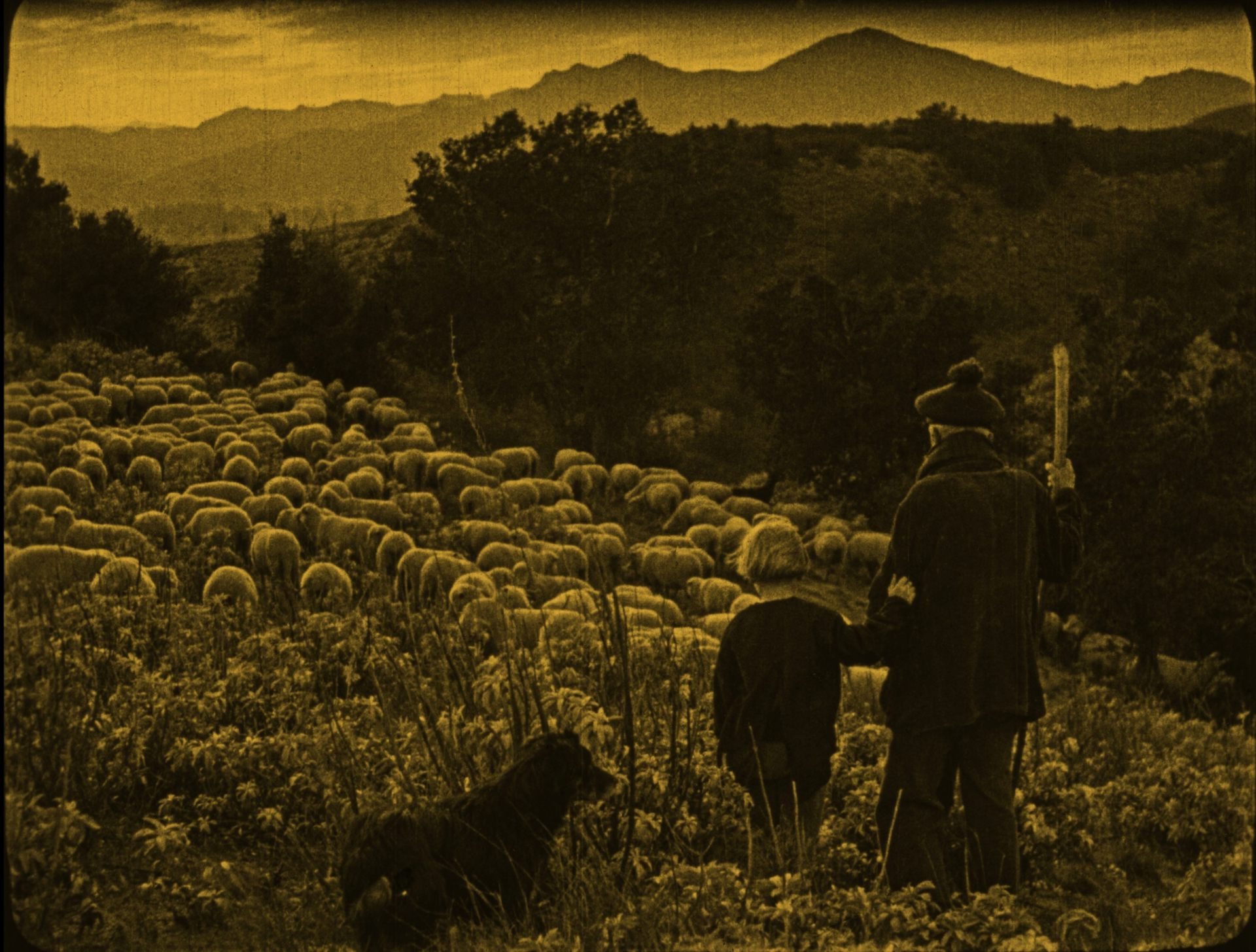 BEYAZ FUNDALIK (THE WHITE HEATHER), 1919