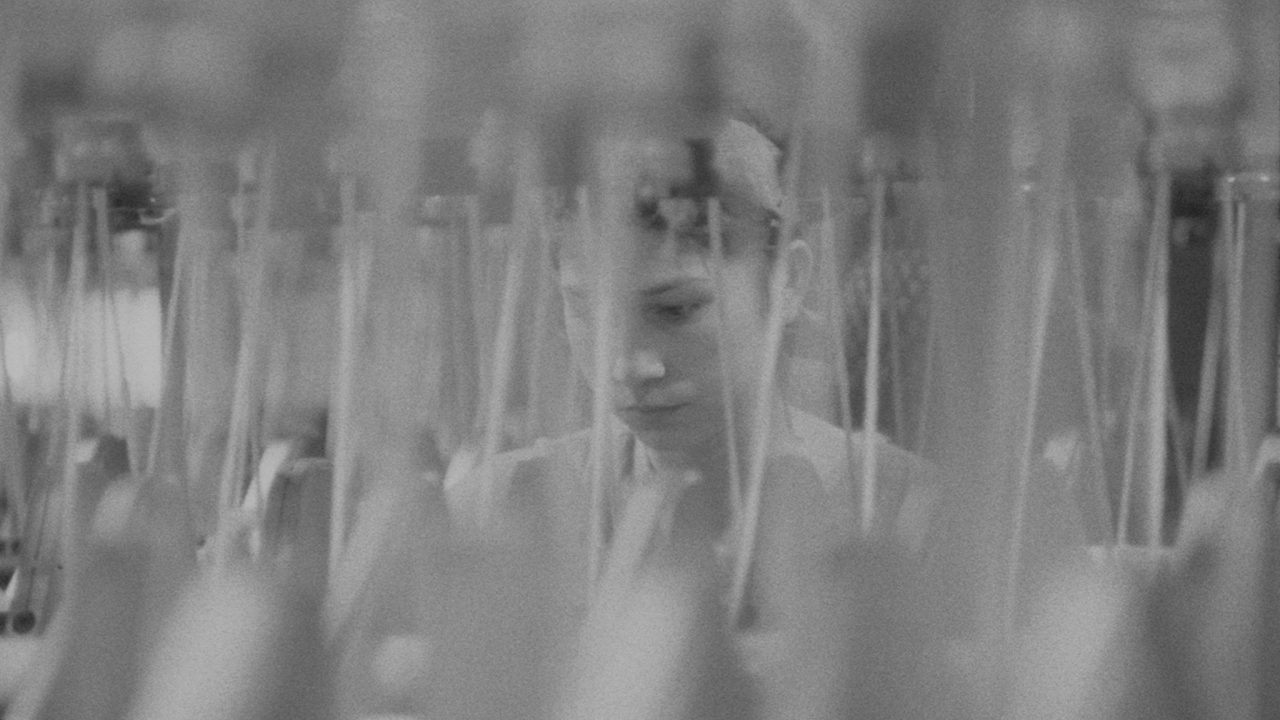 İŞÇİ TULUMU (A MUNKÁSZUBBONY), 1914 + İPLİK FABRİKASINDA (A LÖRİNCİ FONÓBAN), 1972