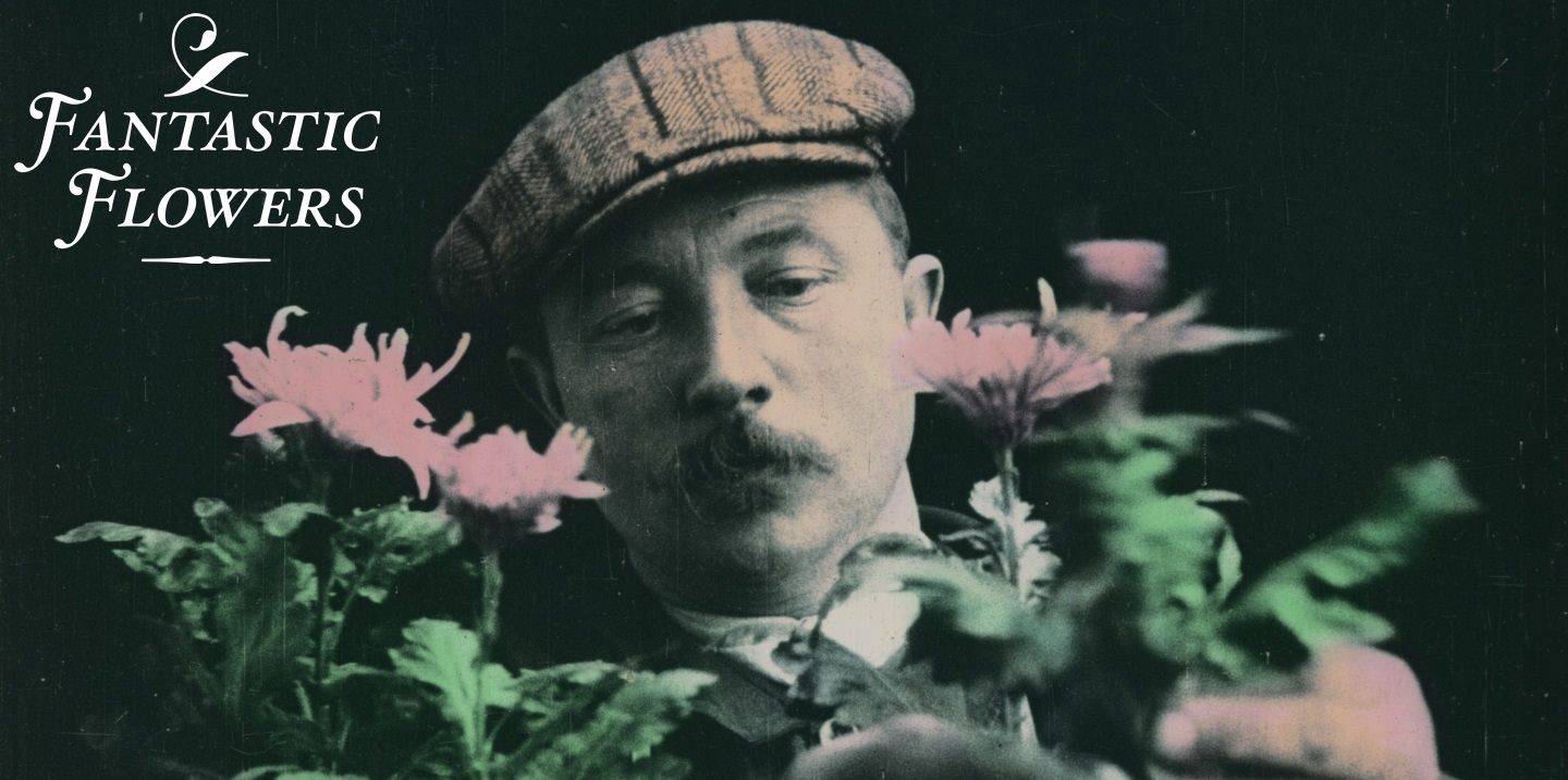 FANTASTİK ÇİÇEKLER (FANTASTIC FLOWERS), 1906-1920