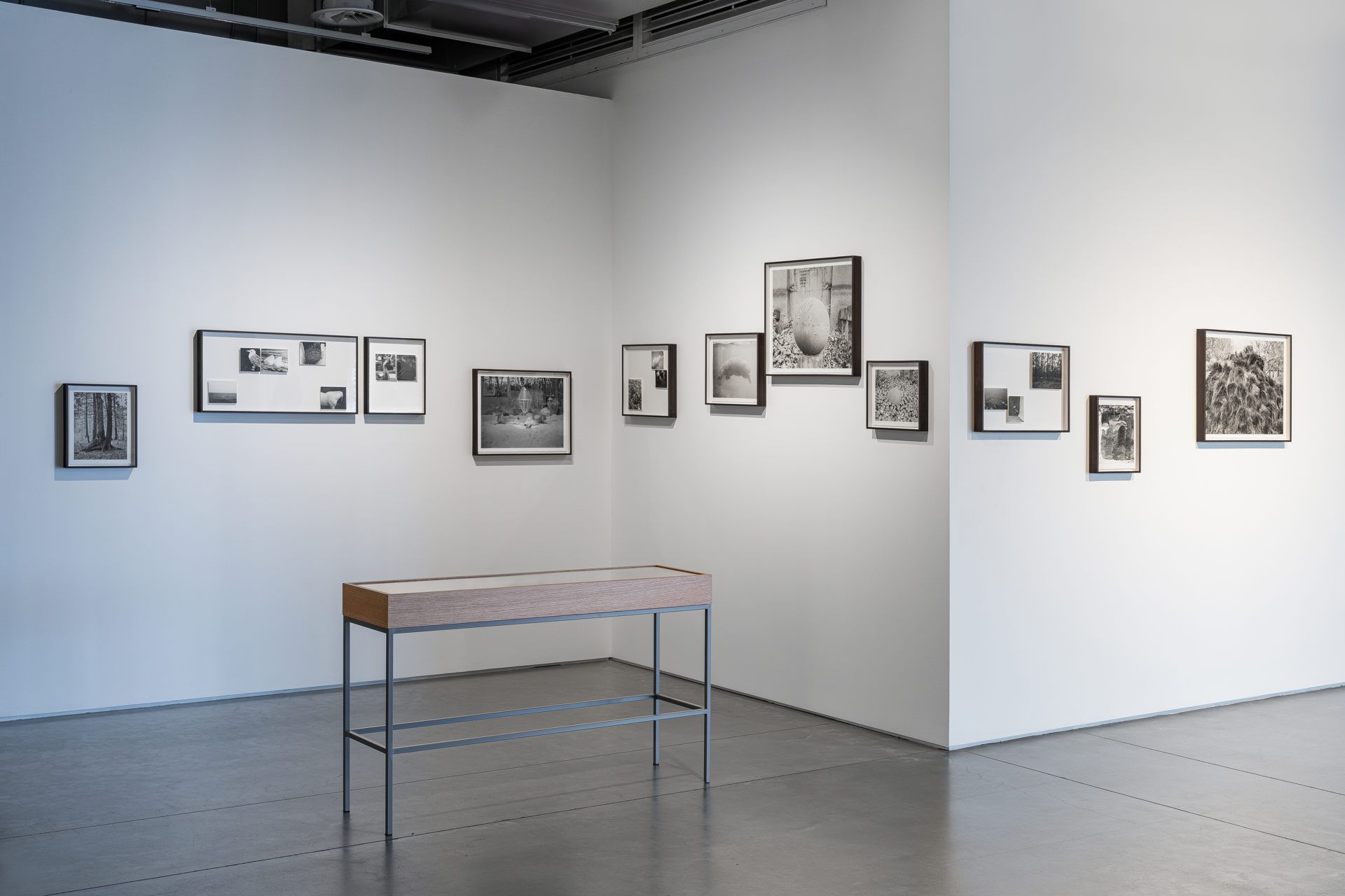 İstanbul Modern’de Panorama Konuşmaları devam ediyor