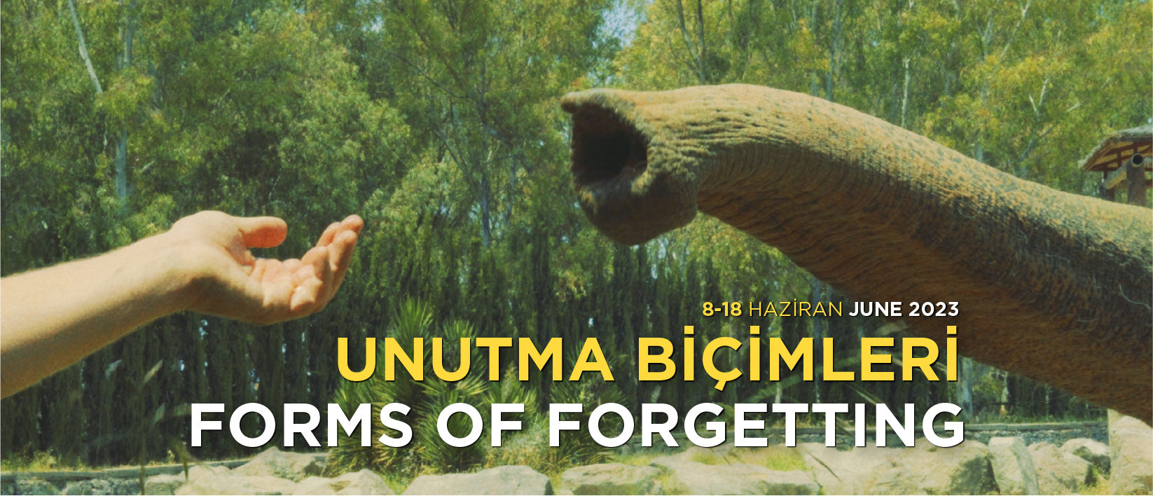 Unutma Biçimleri