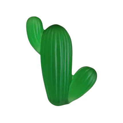 Fy-shan Minik Kaktüs - Yeşil