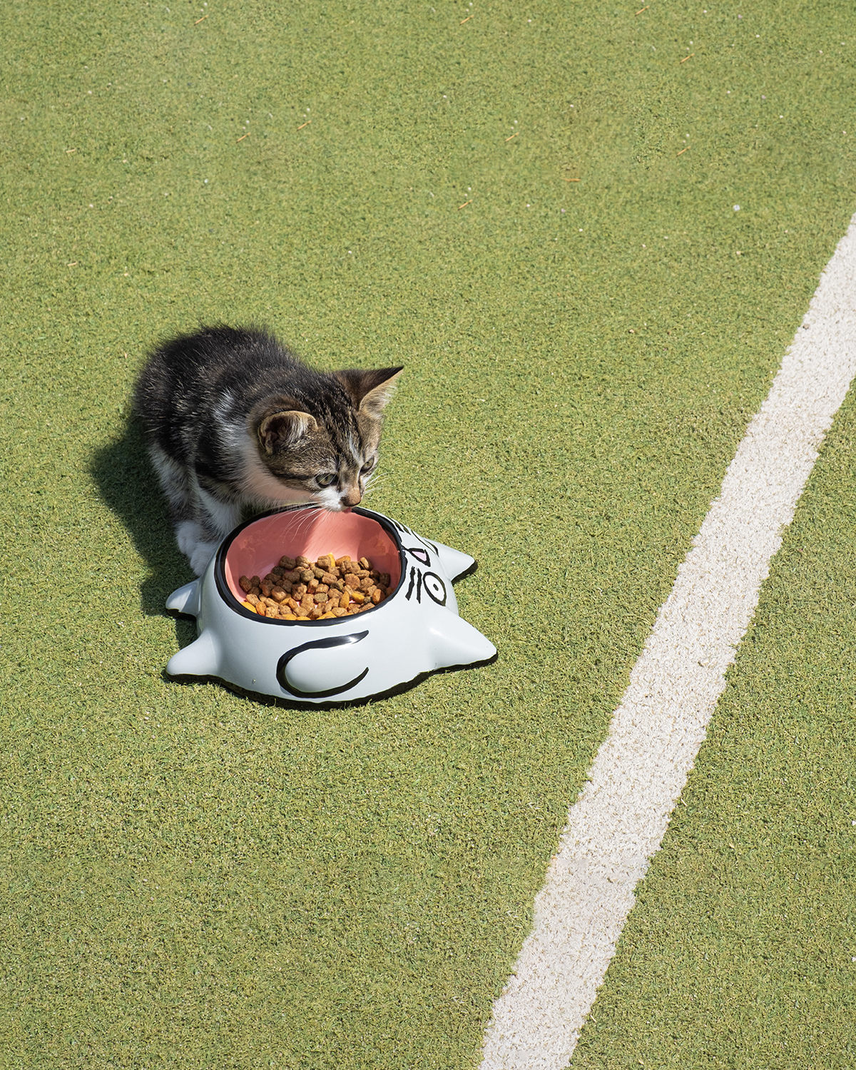 Jean Jullien x Home Studio - Kedi - Mama Kabı