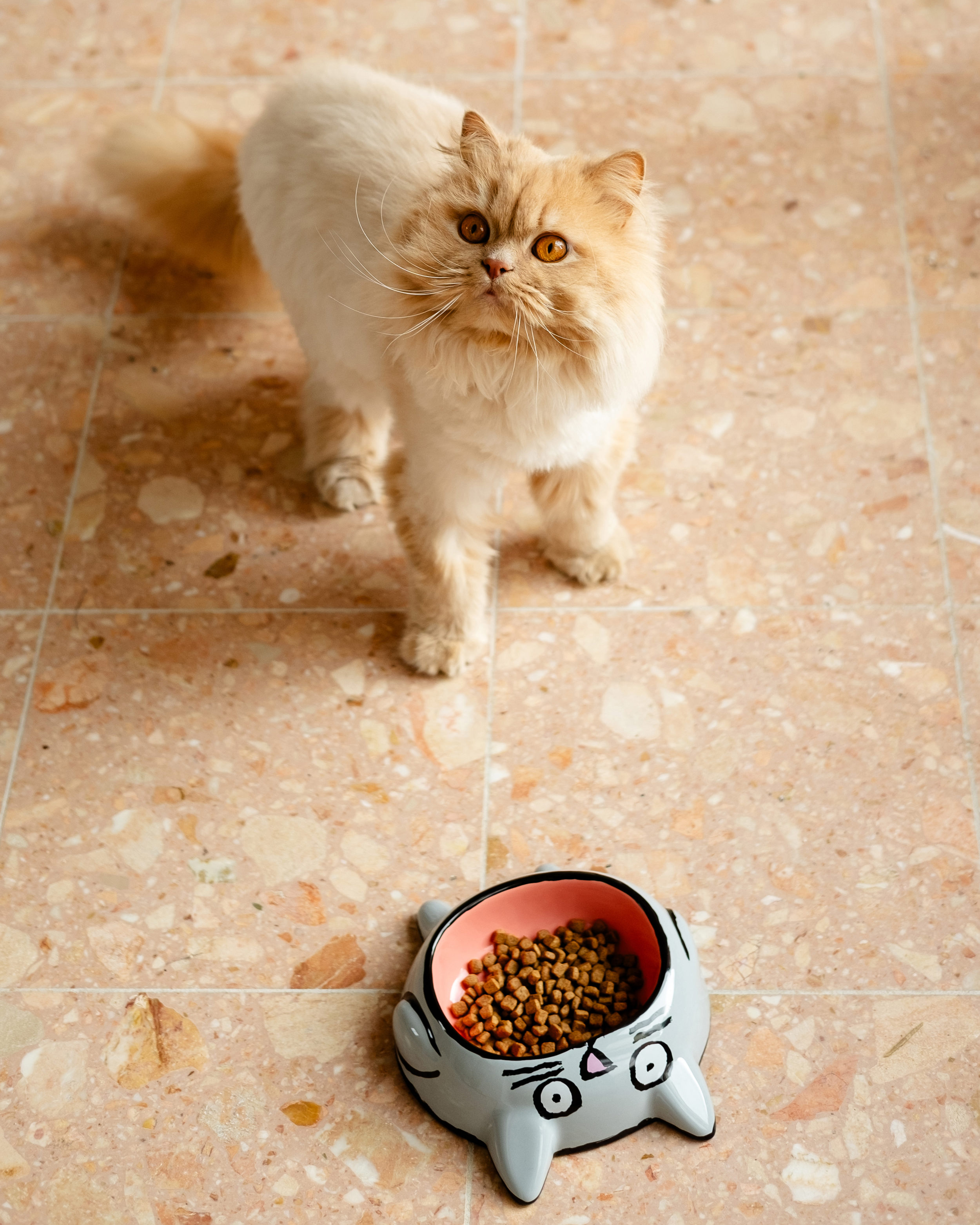 Jean Jullien x Home Studio - Kedi - Mama Kabı