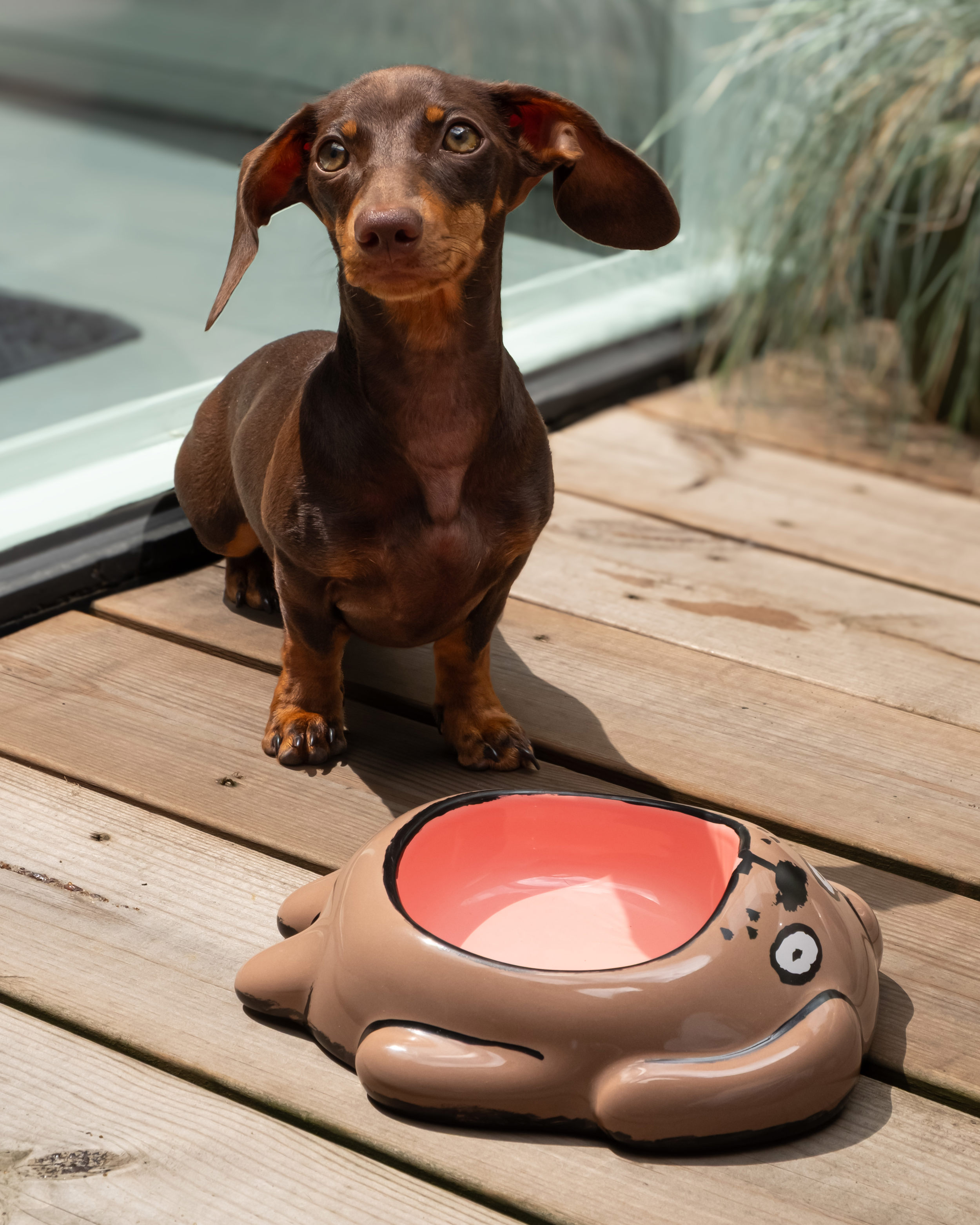 Jean Jullien x Home Studio - Köpek - Mama Kabı