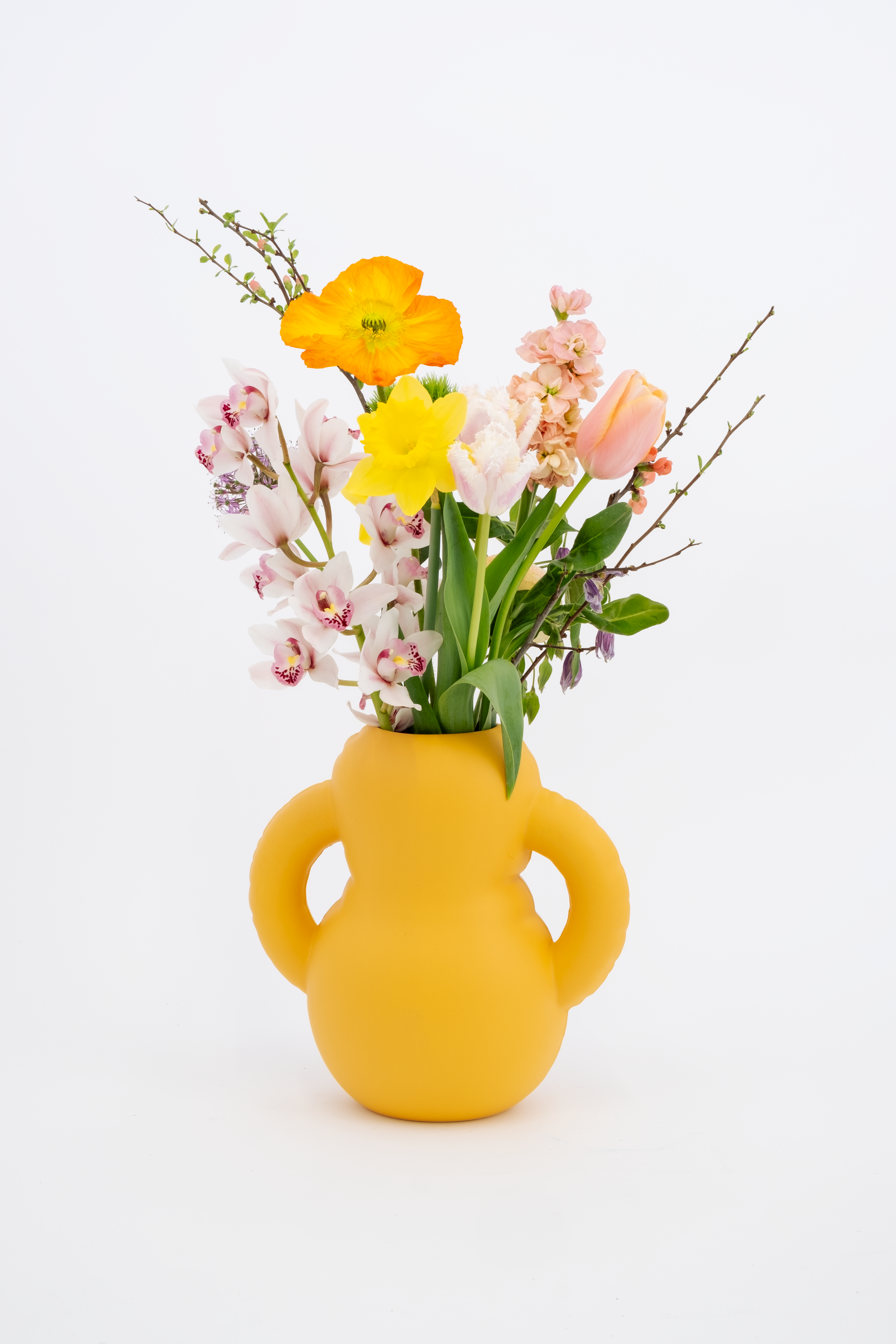 Home Studyo - Vazo - Oscar - Mat Sarı