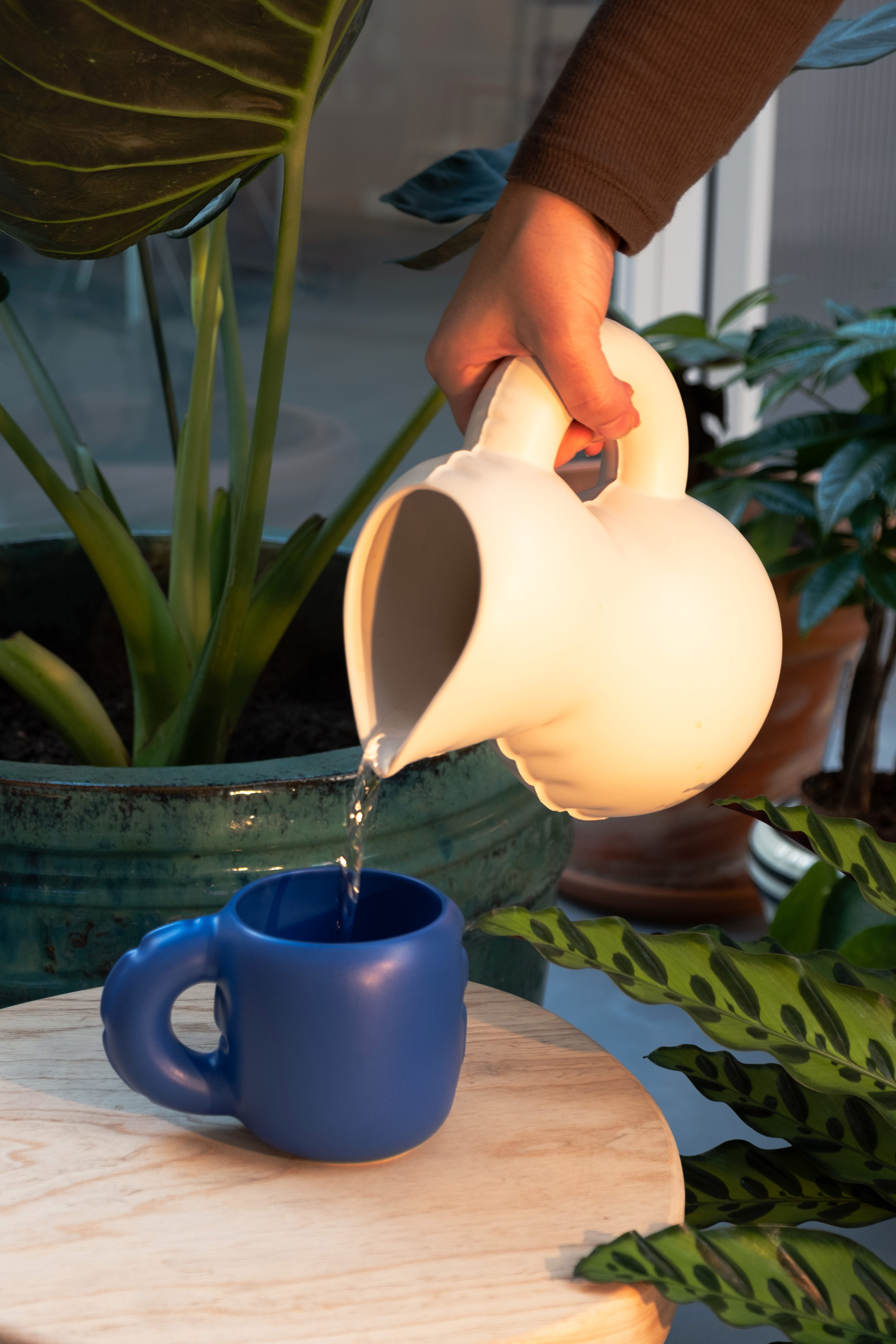 Home Studyo - Kupa - Gaston - Mat İndigo