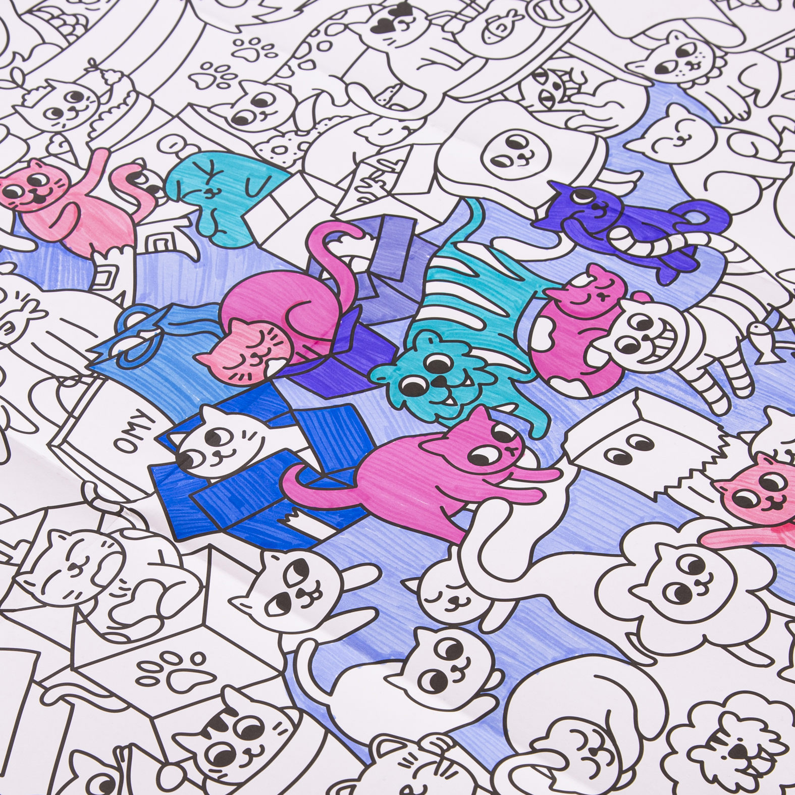 Omy - Coloring Poster - Kitty