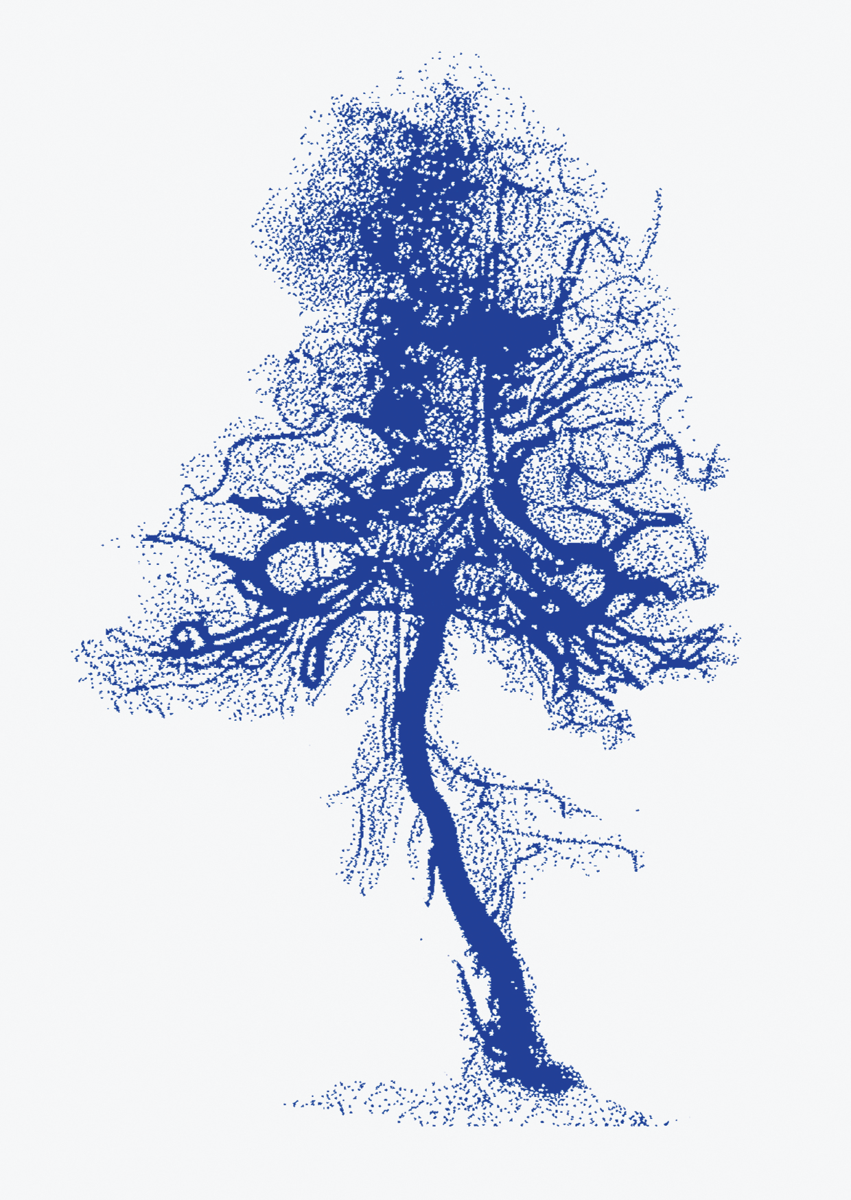 Postcard - Ya Da Design - "The Forest Within, Trees..."