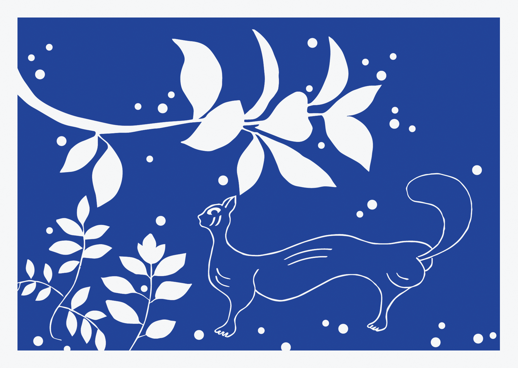 Postcard - Ya Da Design - "My Neighbor's Cats, Leo"