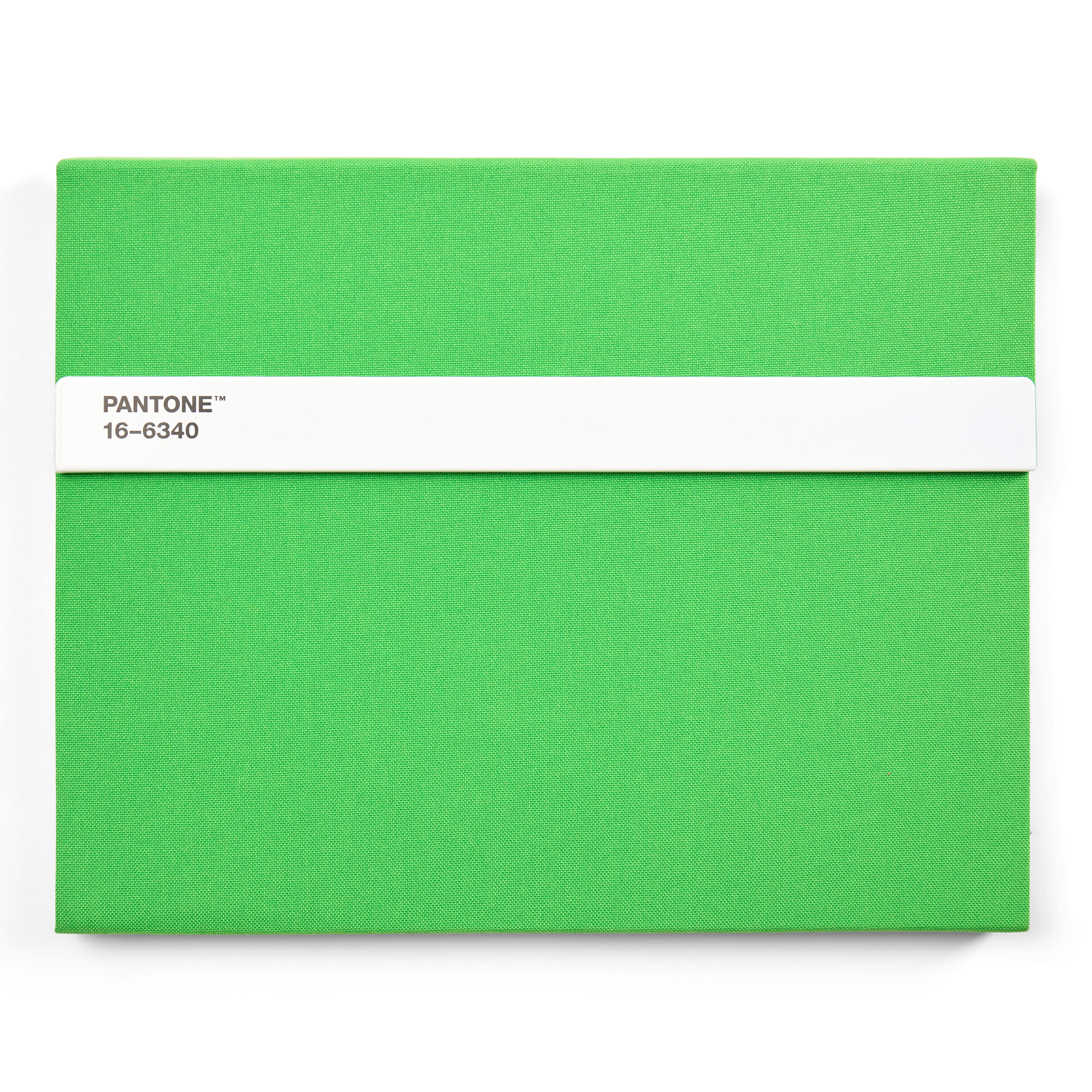 Pantone - Notebook - Green