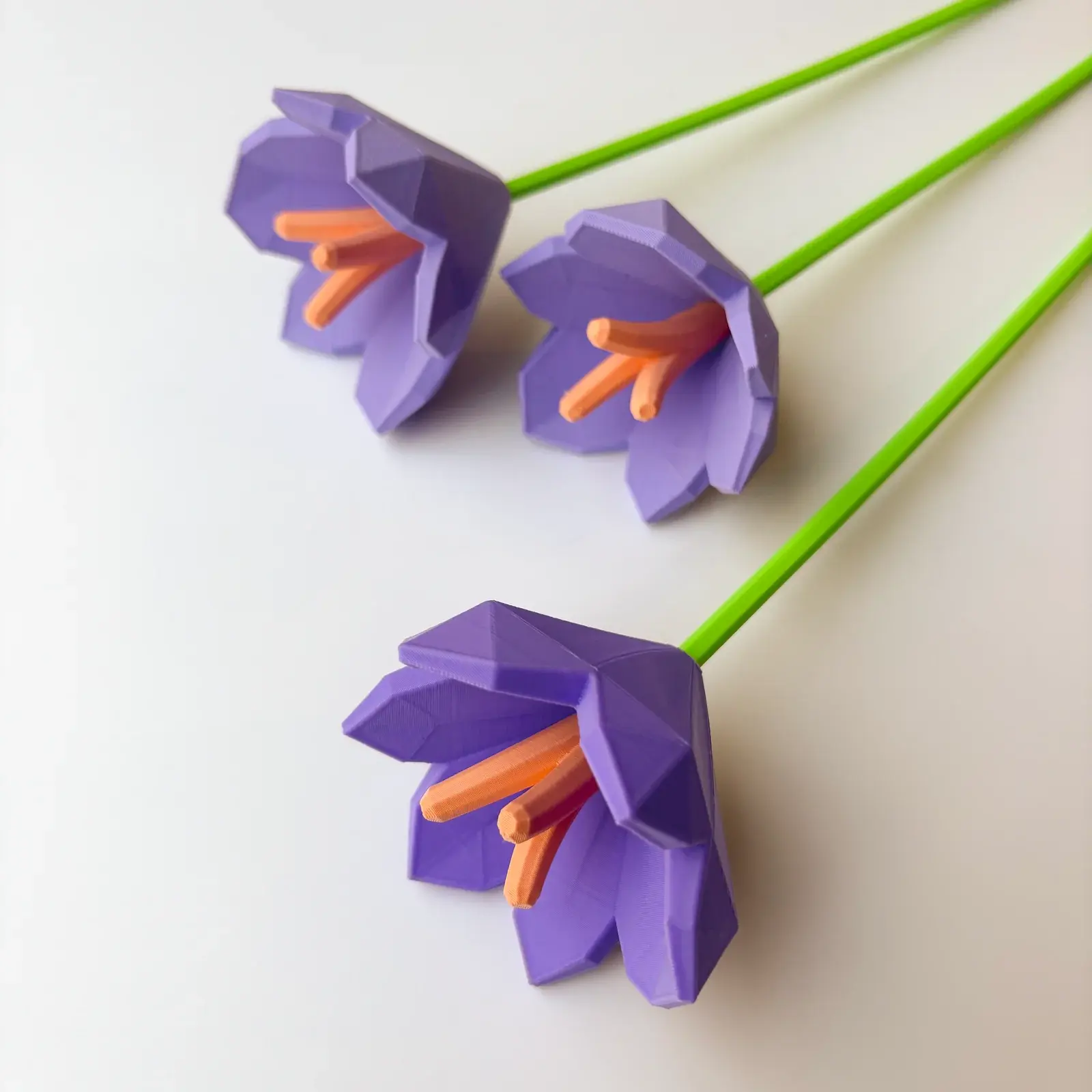 Formasupra - Flower - Saffron - Purple