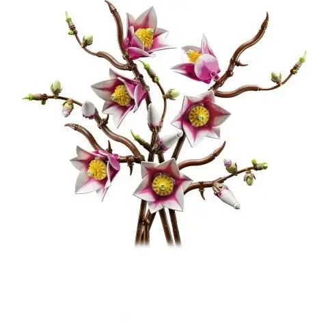 Lego - Botanicals - Magnolia Branches