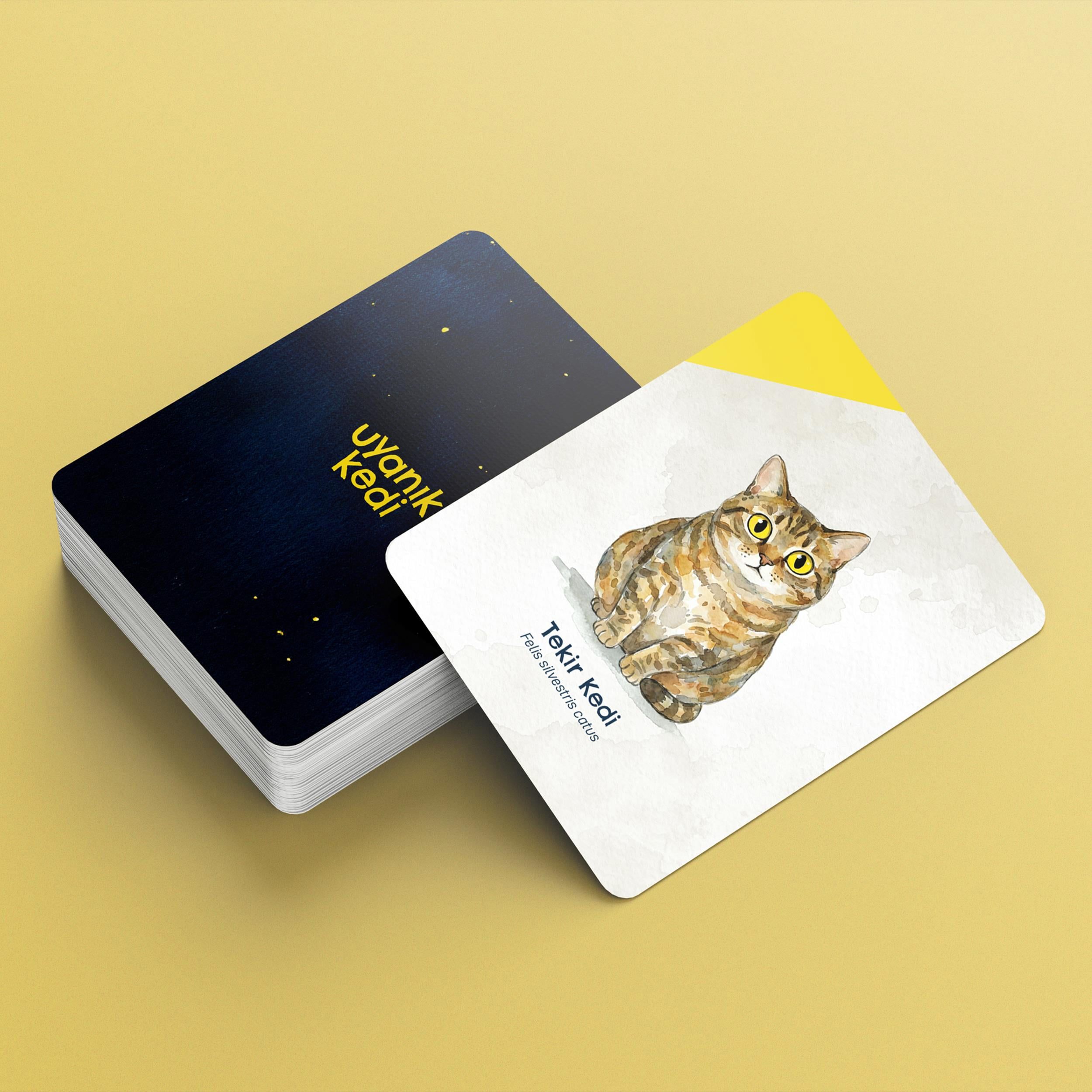 Berabere Oyun - Board Game - Uyanık Kedi
