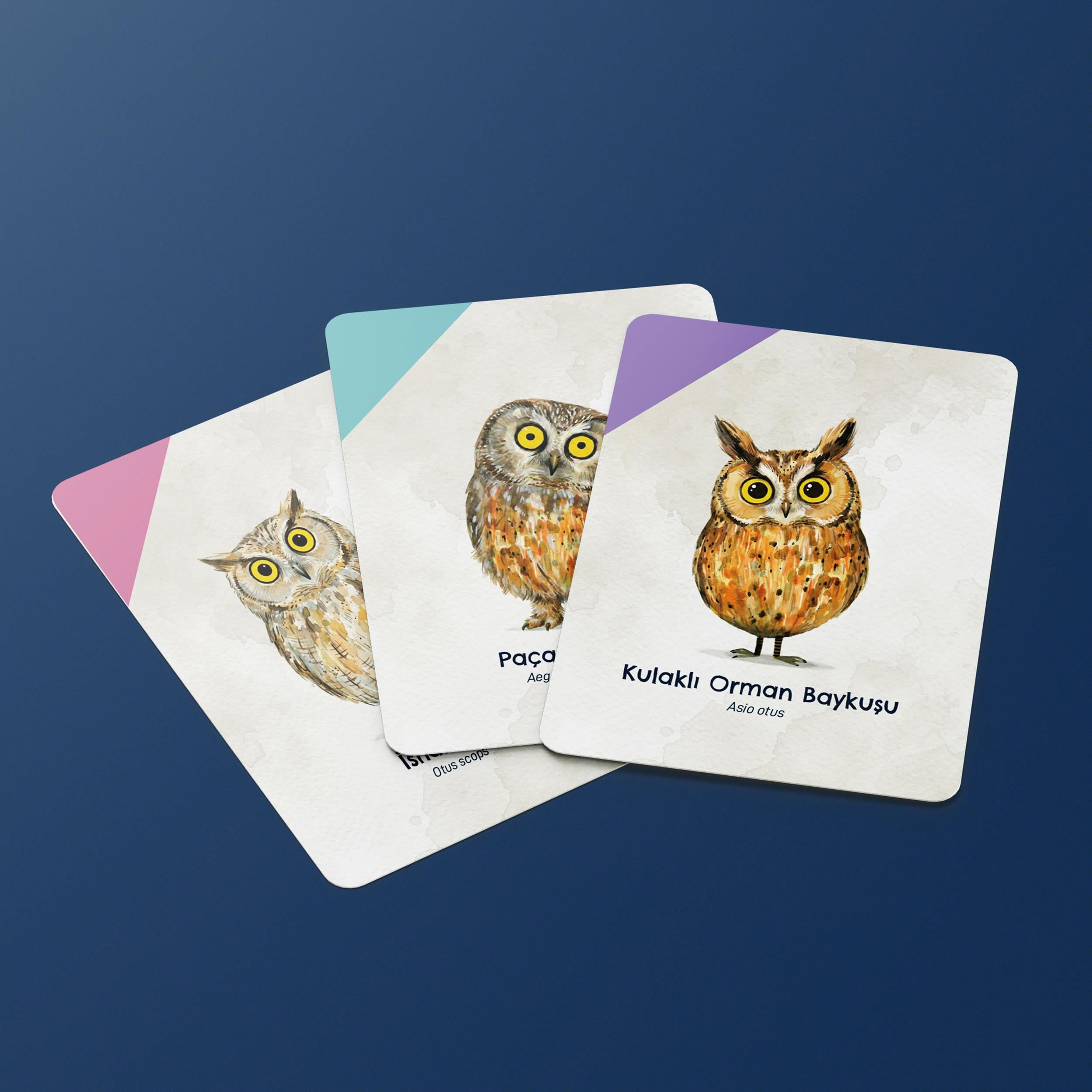 Berabere Oyun - Board Game - Uyanık Kedi