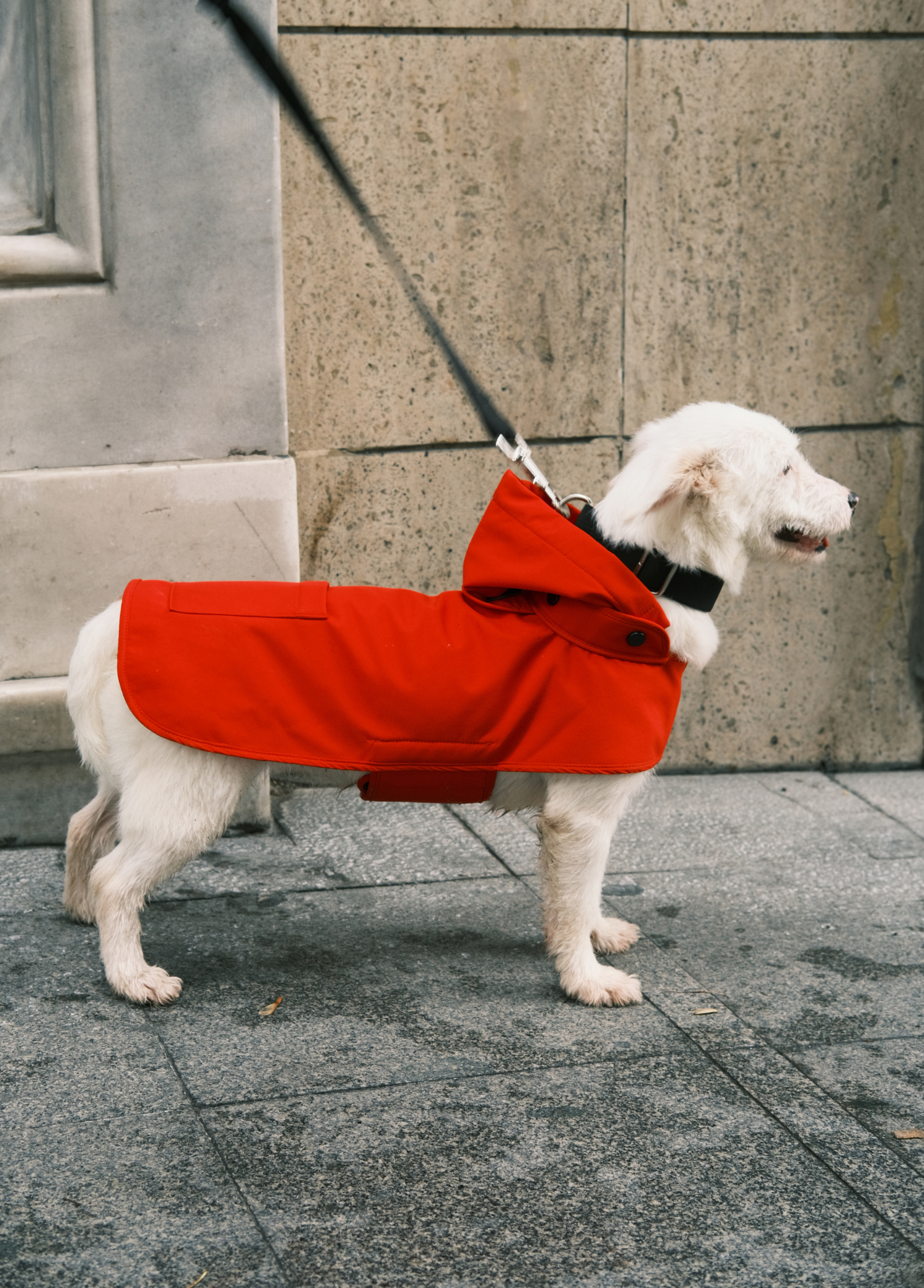 St. Pia - Raincoat - Pluvio - Red