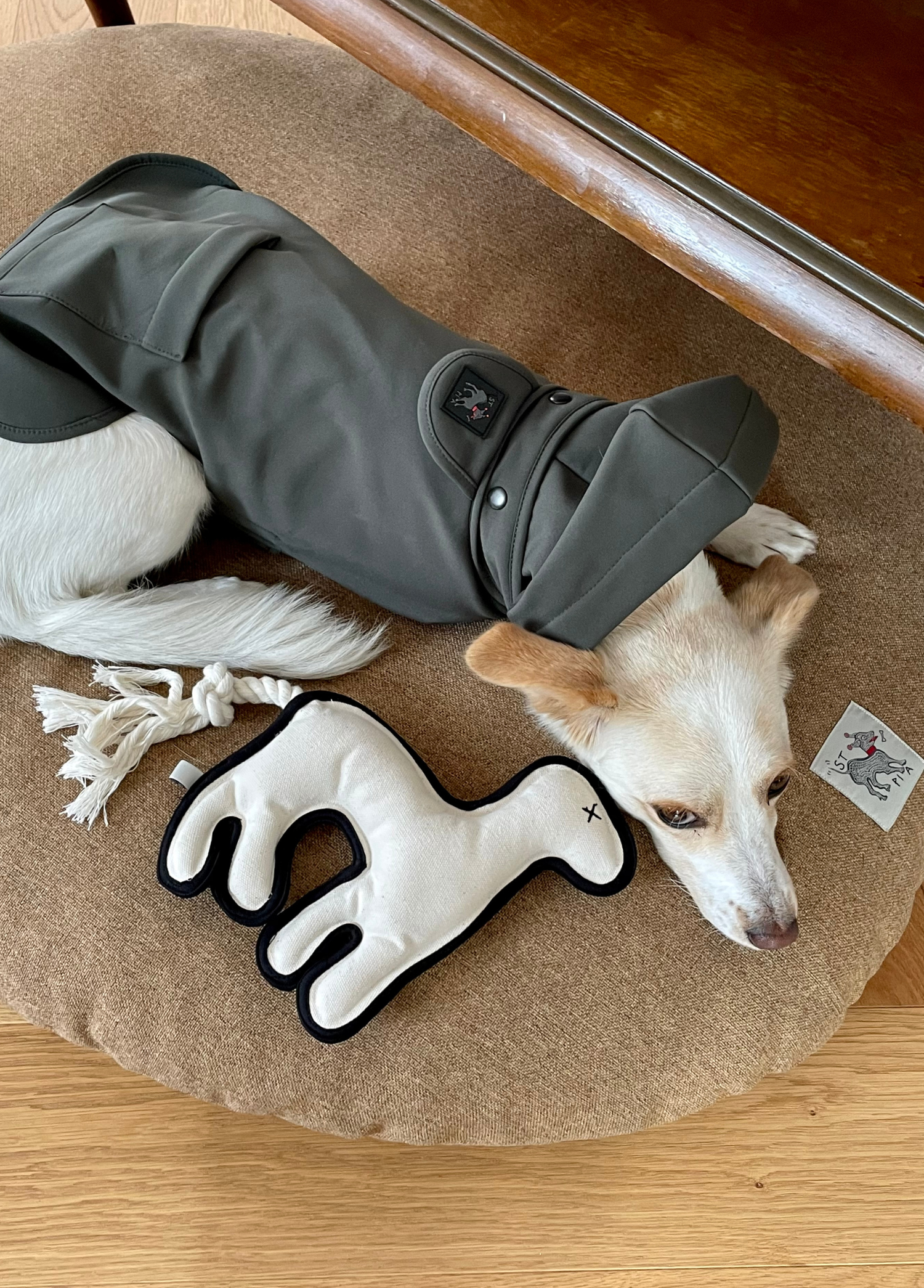 St. Pia - Toy - Spirit Animal - Cream