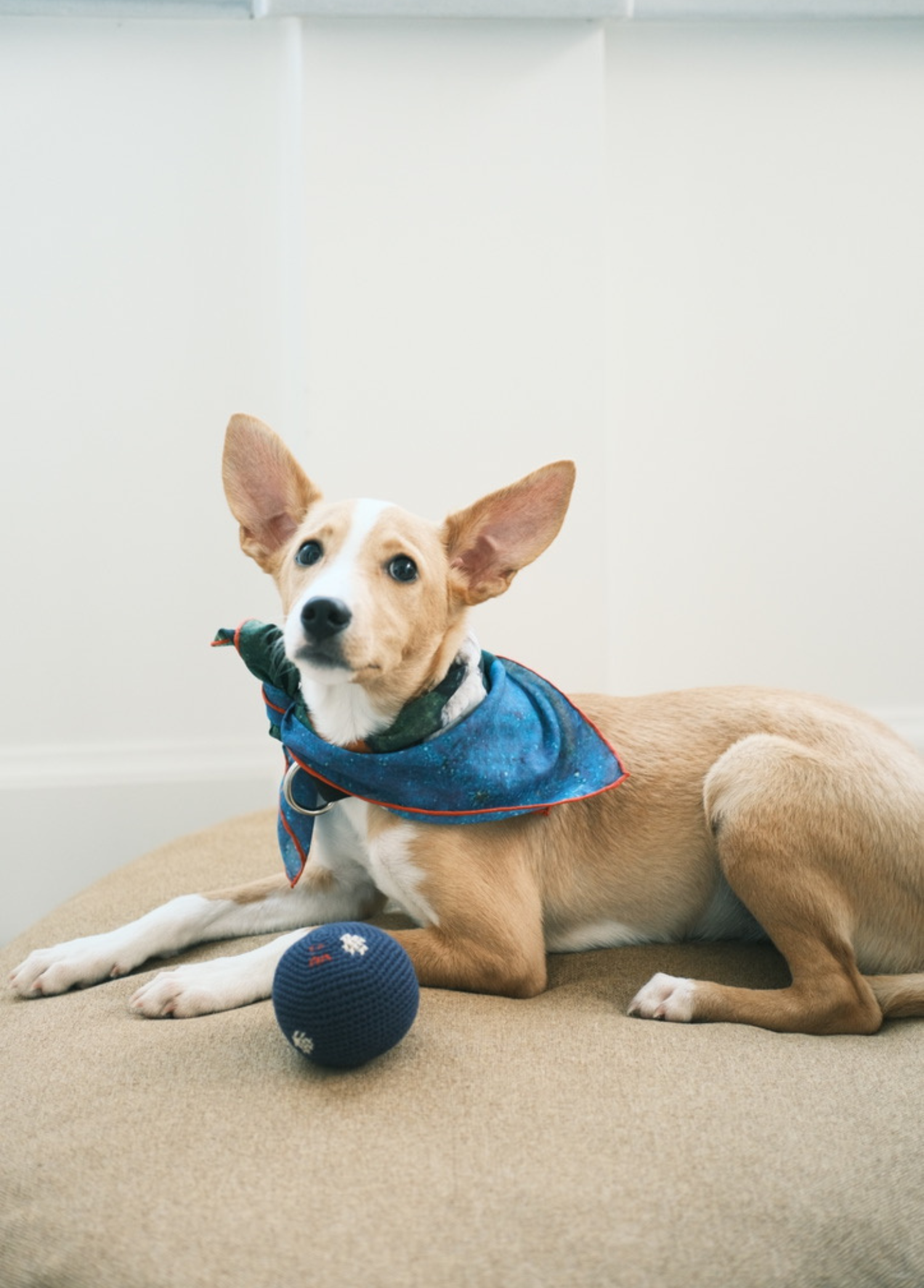 St. Pia - Ball - Polkadot - Navy