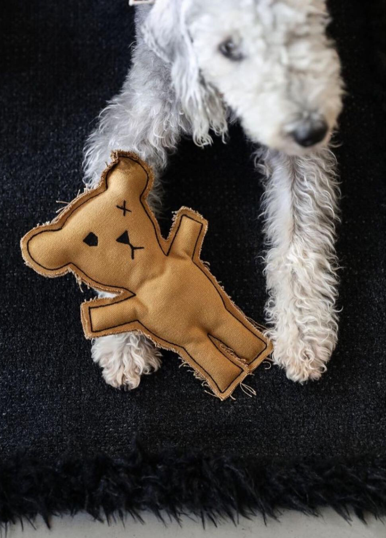 St. Pia - Toy - Robear - Toffee