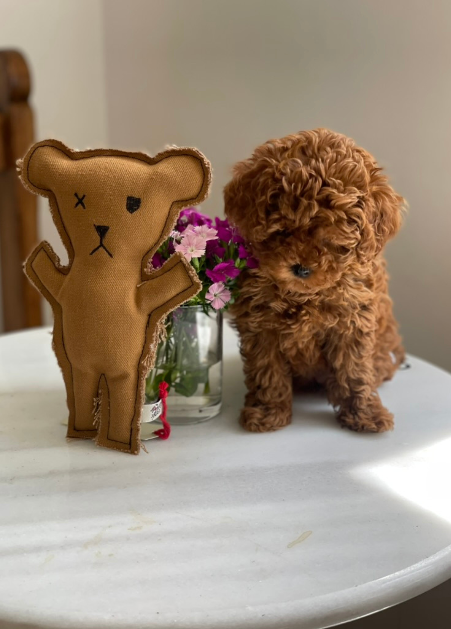 St. Pia - Toy - Robear - Toffee
