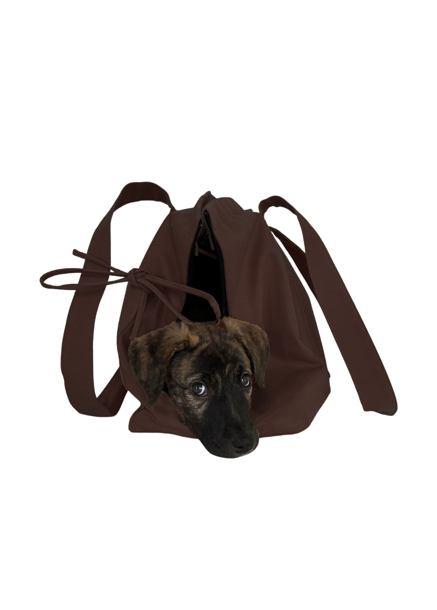 St. Pia - Tote Bag + Pet  Carrier - Marsu - Deep Brown