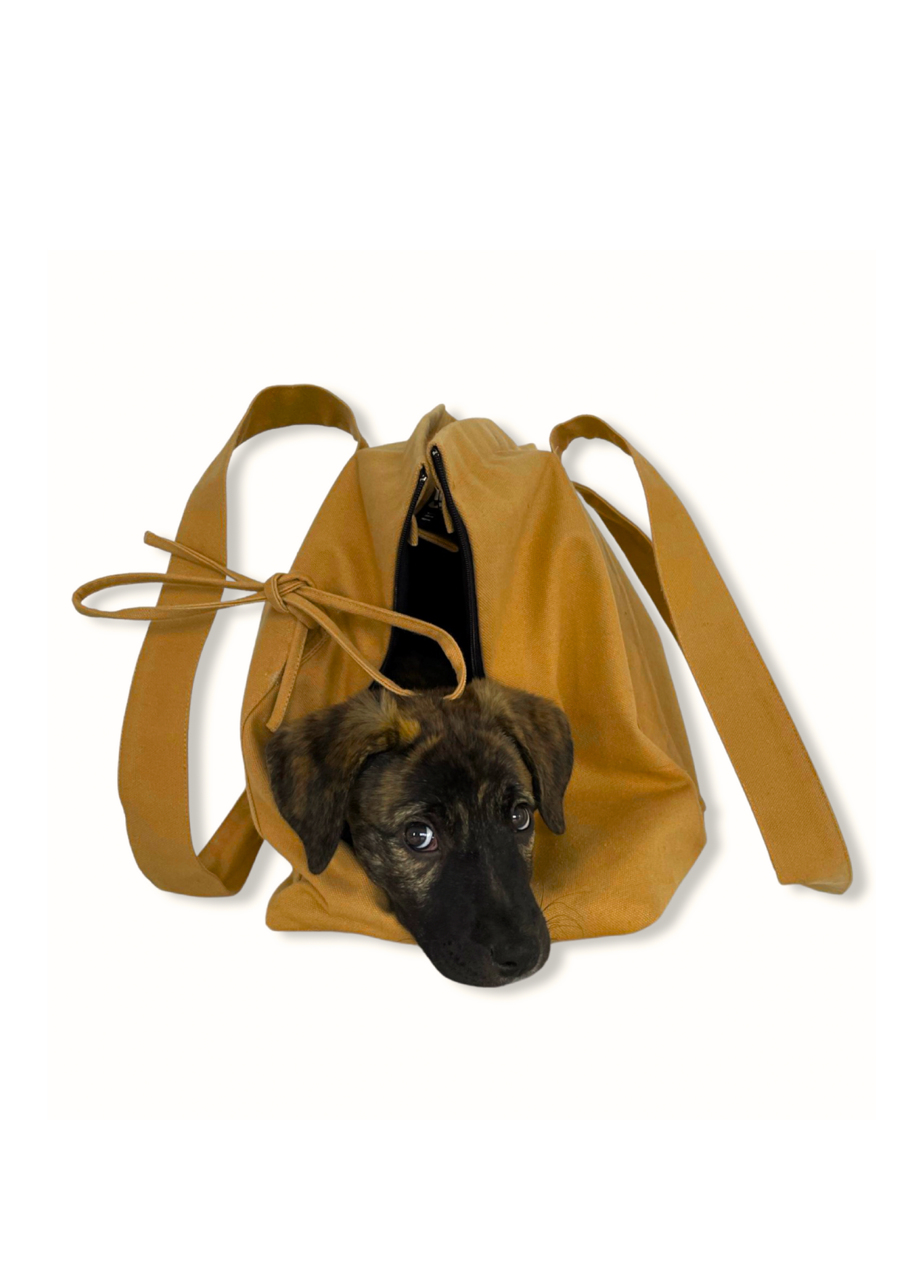 St. Pia - Tote Bag + Pet  Carrier - Marsu - Mustard