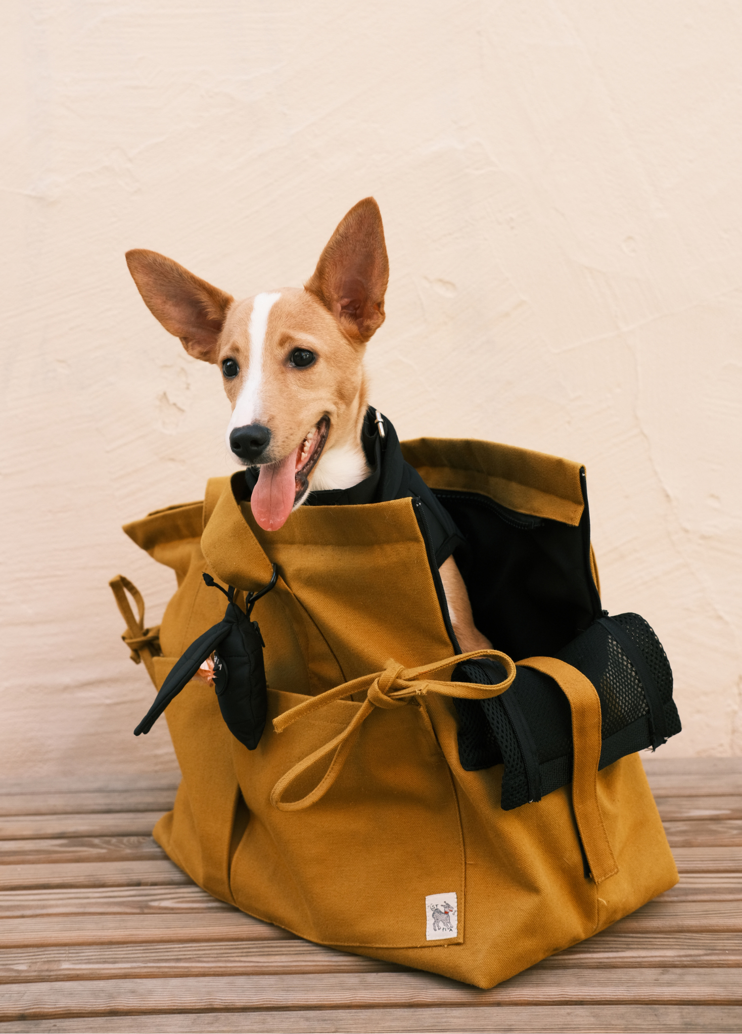 St. Pia - Tote Bag + Pet  Carrier - Marsu - Mustard