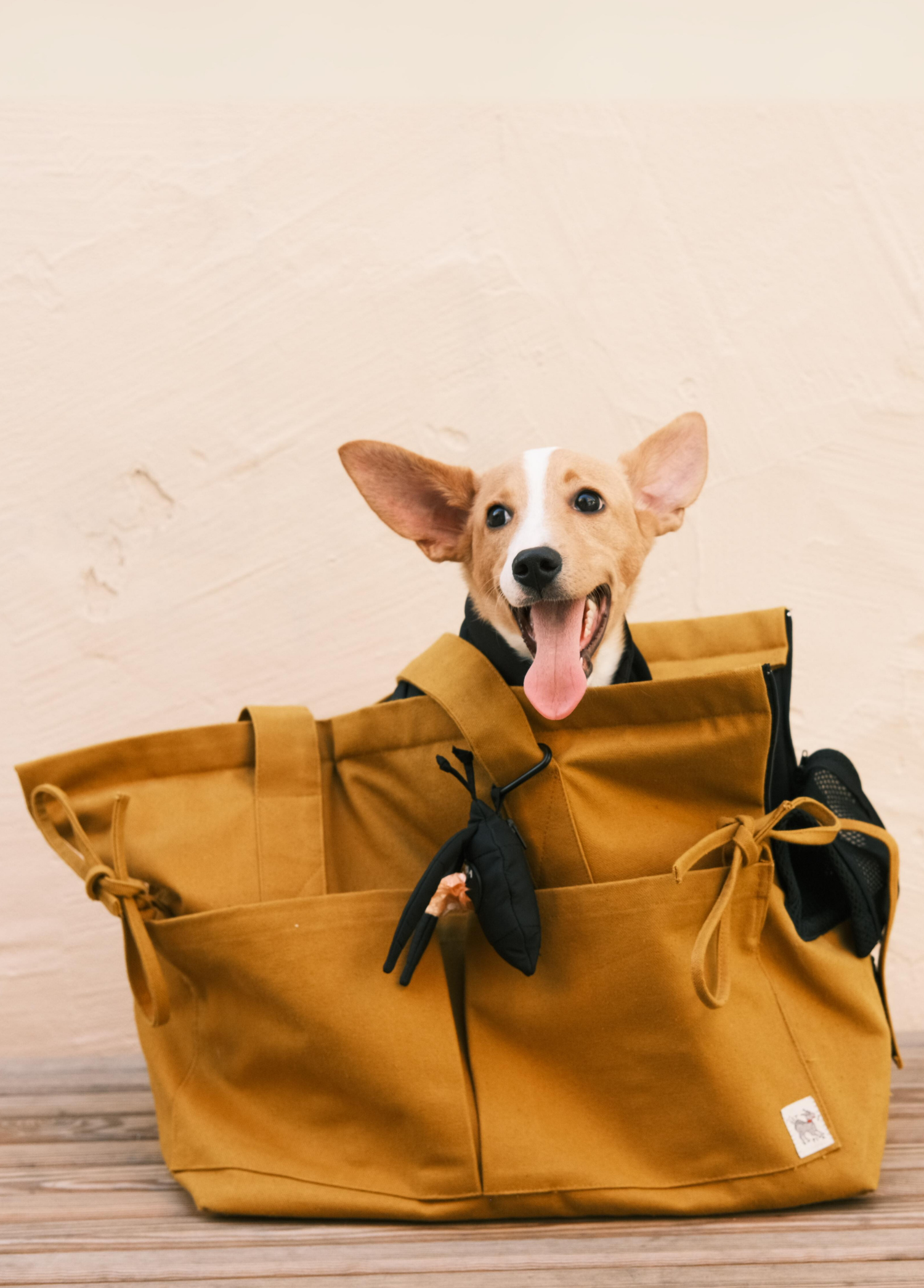 St. Pia - Tote Bag + Pet  Carrier - Marsu - Mustard