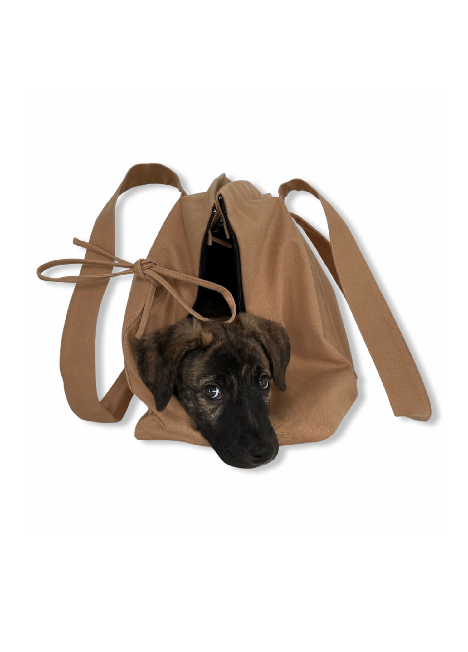 St. Pia - Tote Bag + Pet  Carrier - Marsu - Latte