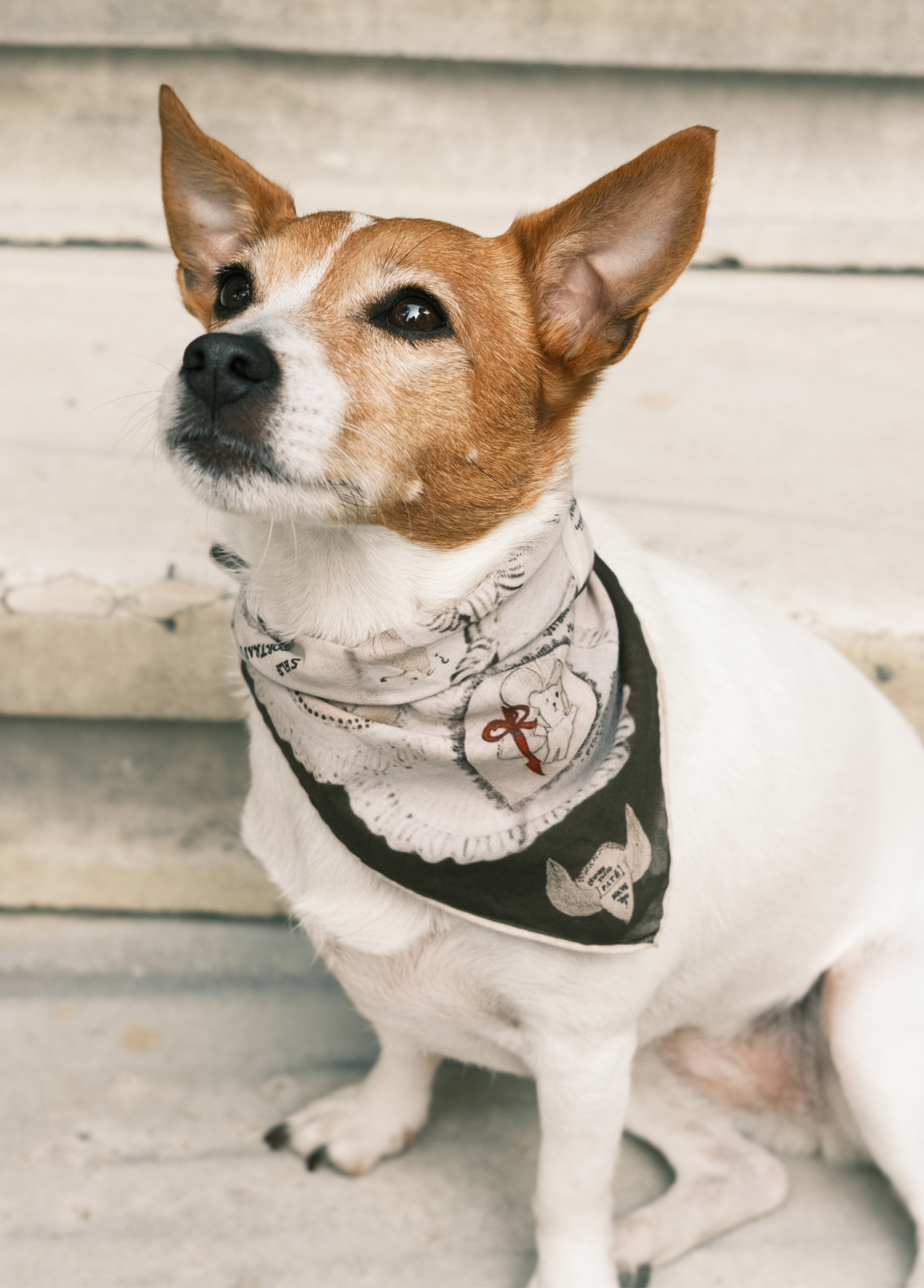 St. Pia - Bandana - Ruff 