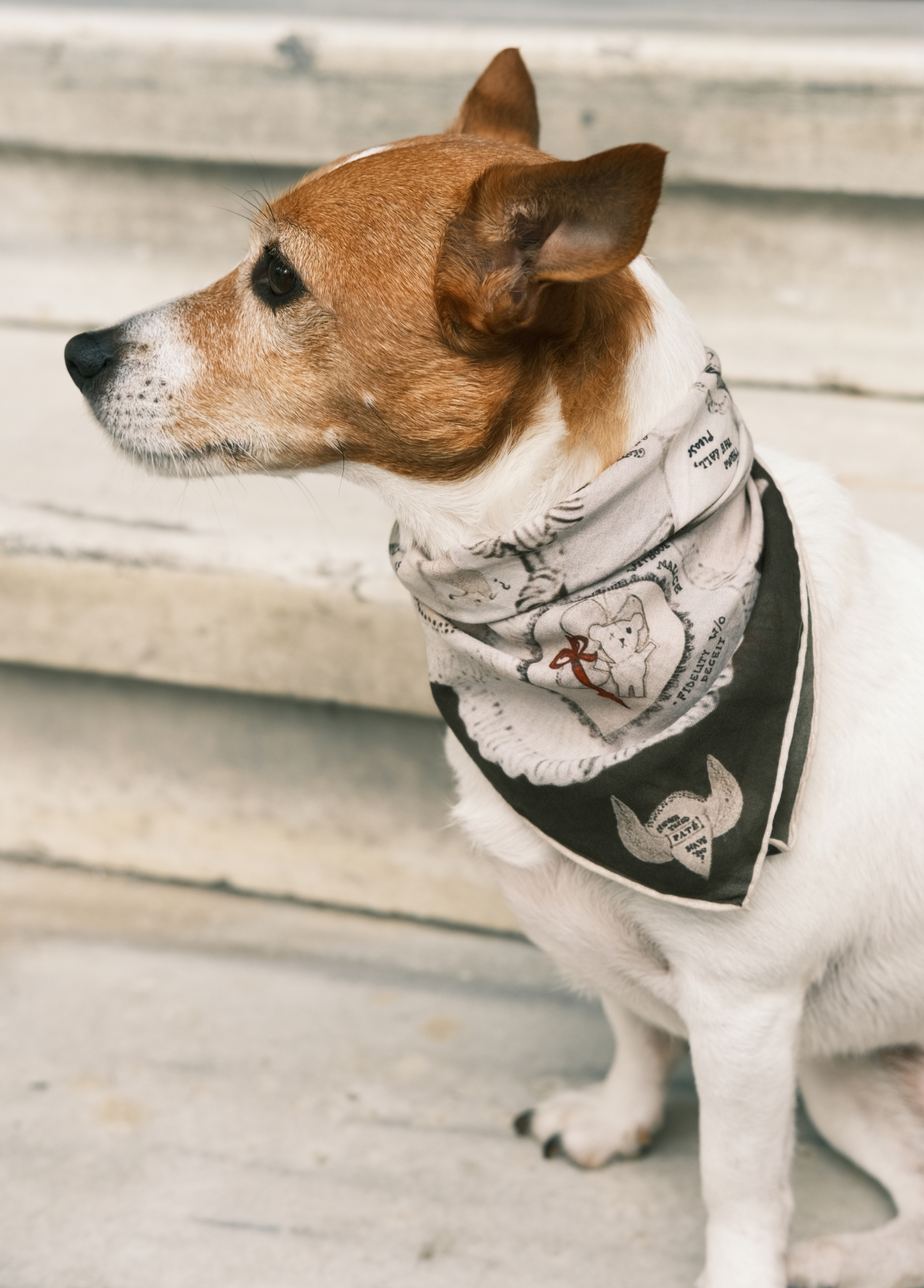 St. Pia - Bandana - Ruff 