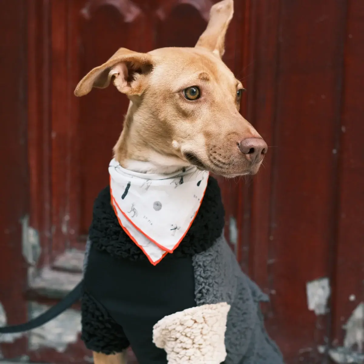 St. Pia - Bandana - Gazette