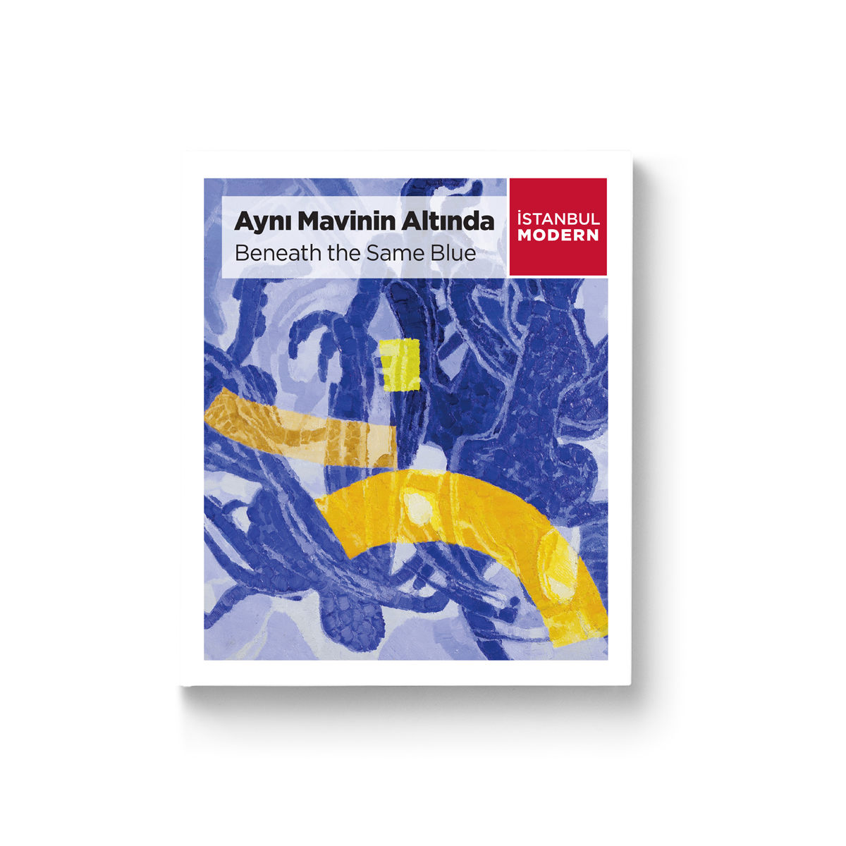 Katalog - "Aynı Mavinin Altında"